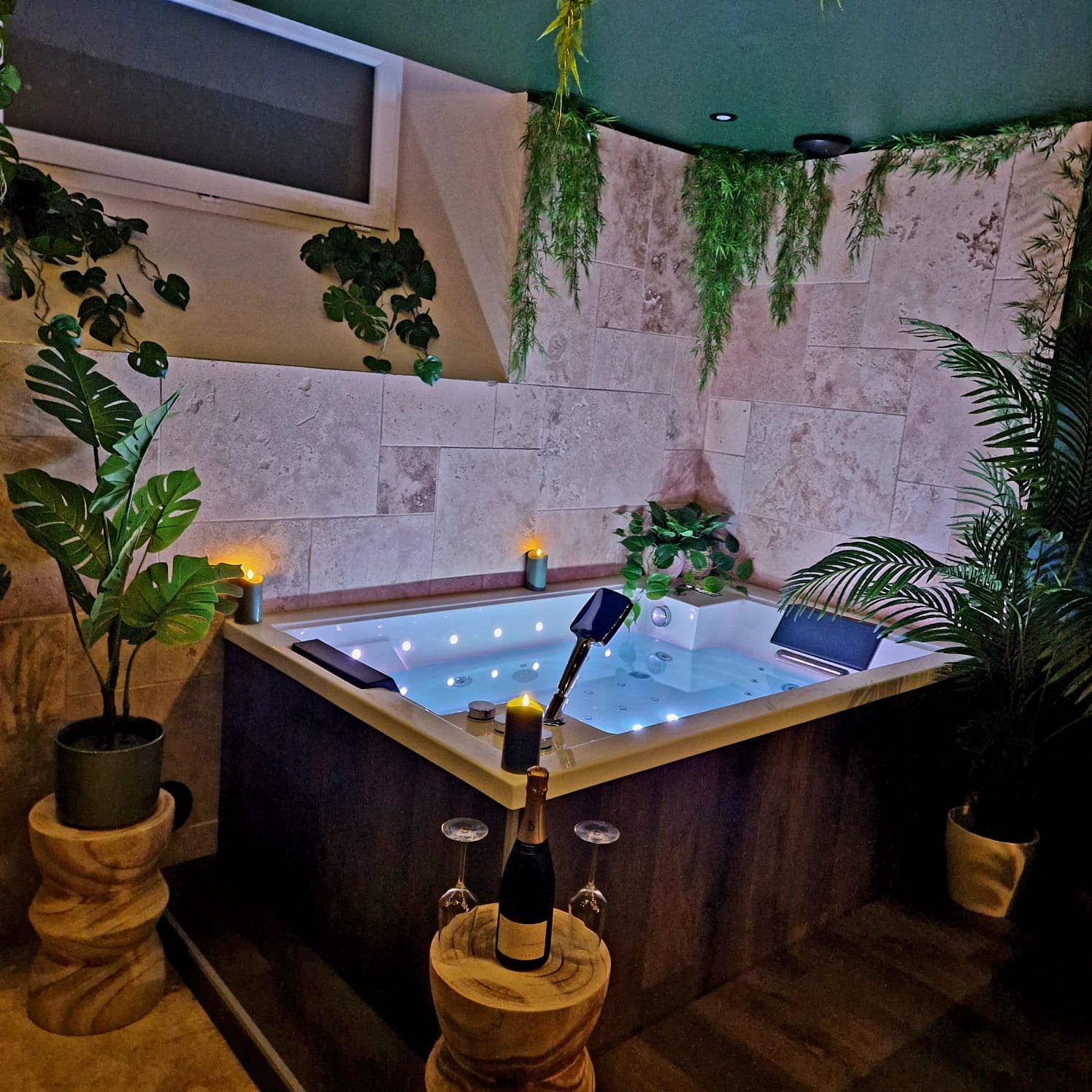 Jungle Room & Spa — Hébergement insolite avec balnéothérapie à Puy-de-Dôme à Orcines — vue intérieure