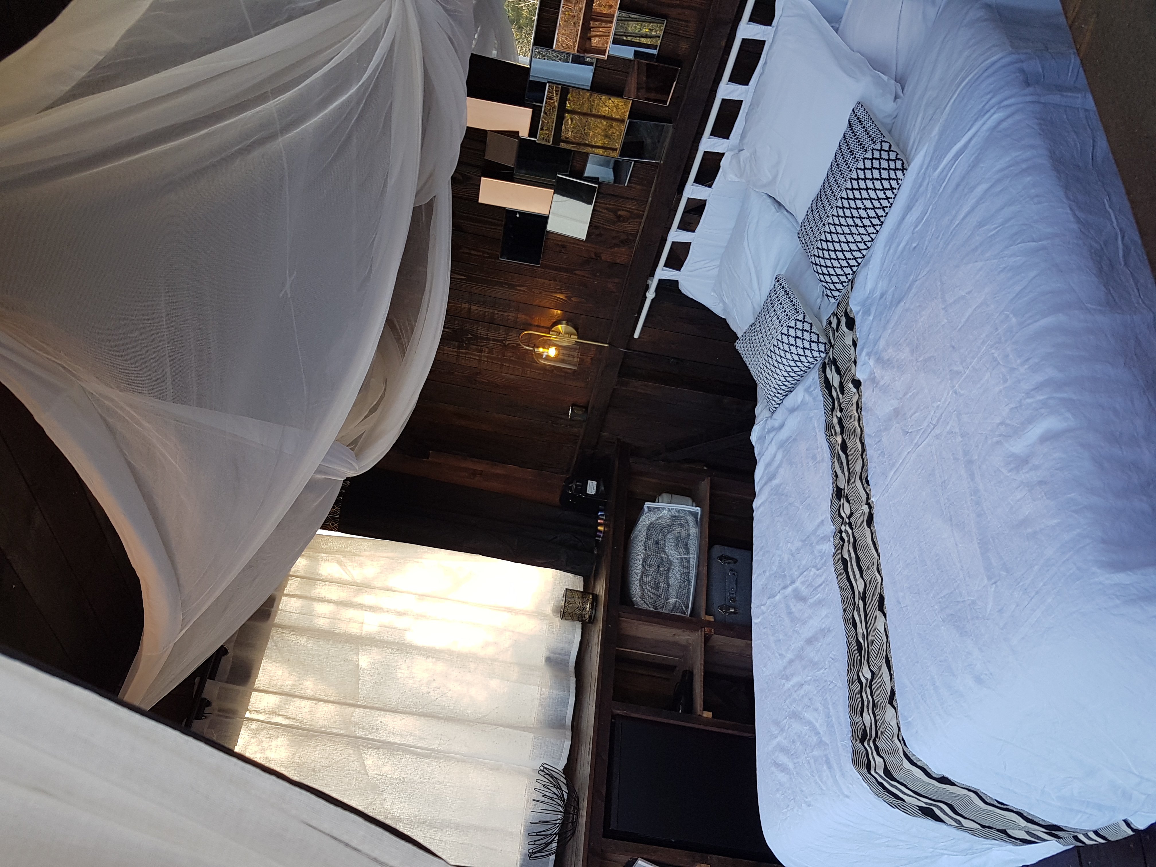 Cabane Réminiscence et Spa : une évasion dans les arbres à Origne — environnement naturel