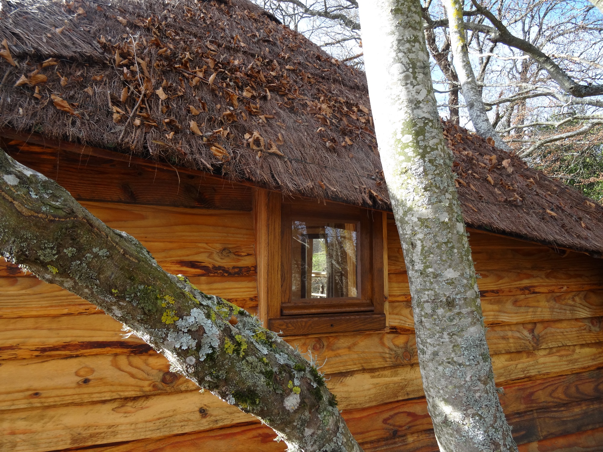La Cabane des Fayards : une expérience suspendue dans les arbres à Saint Agrève — chambre