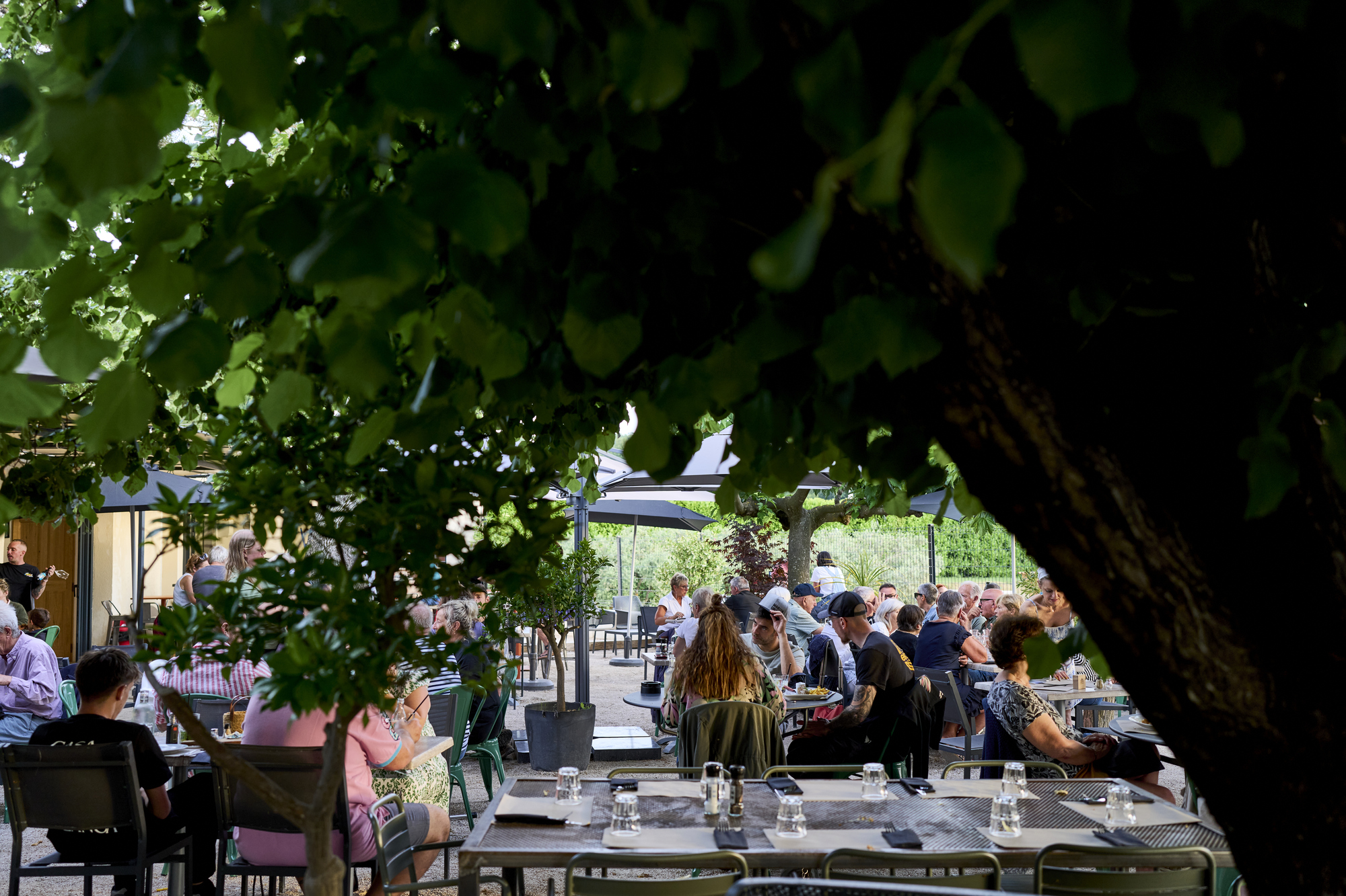 Tente insolite 1/2 pers. — Séjour avec spa à Vaucluse à Fontaine-de-Vaucluse — cuisine