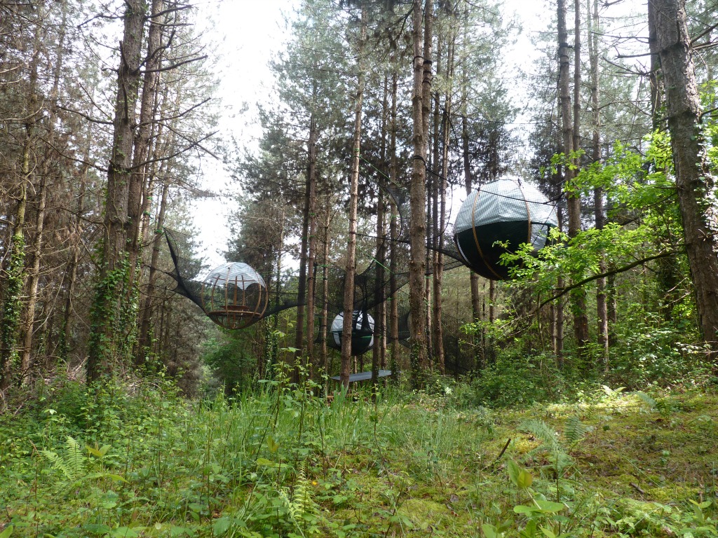 Nid Hiboux : une expérience immersive en Aquitaine — Cabane à Loubieng
