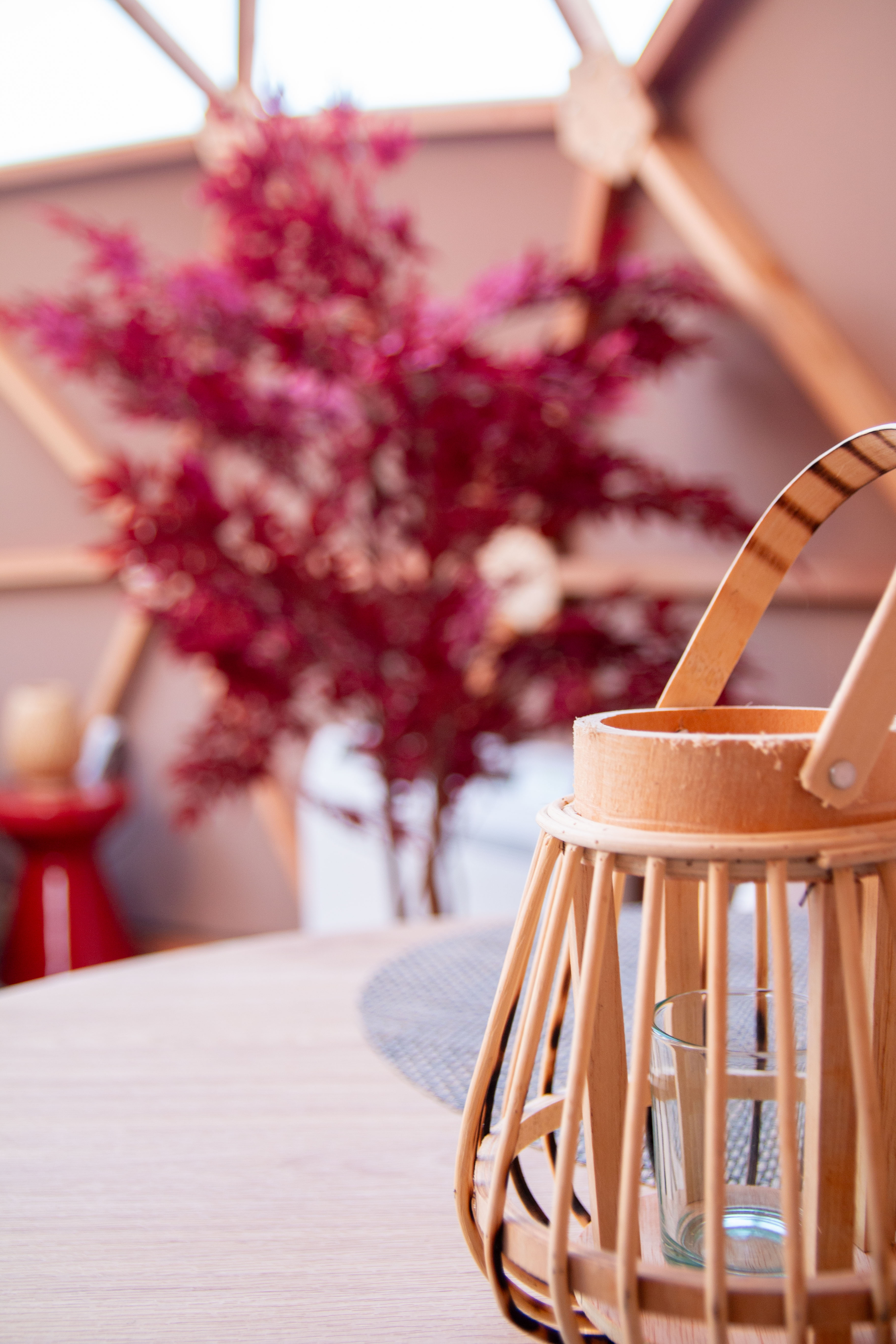 Le Dôme du Levant & Spa — Dôme avec jacuzzi à Holving (Moselle) à Holving — cuisine
