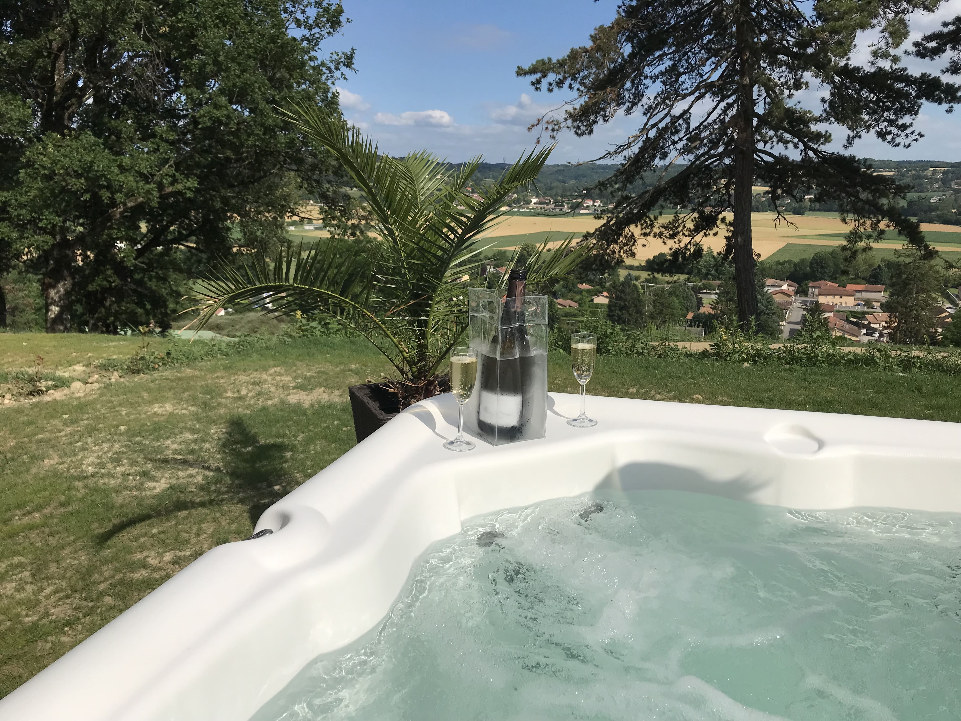 Bulle DODO LODGE : un dôme suspendu au cœur de la nature à Oytier St Oblas — chambre