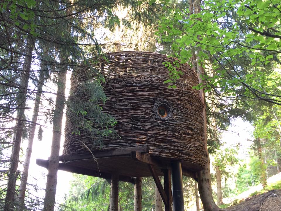 Cabane Nid : une échappée belle dans les arbres à Saint Nicolas La Chapelle — espace de vie