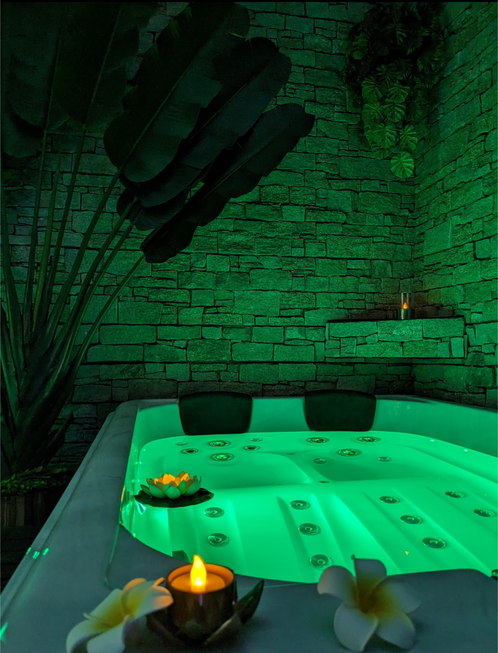Nuit insolite avec Spa — Maison immersive en Amazonie à Agen à Agen — espace de vie