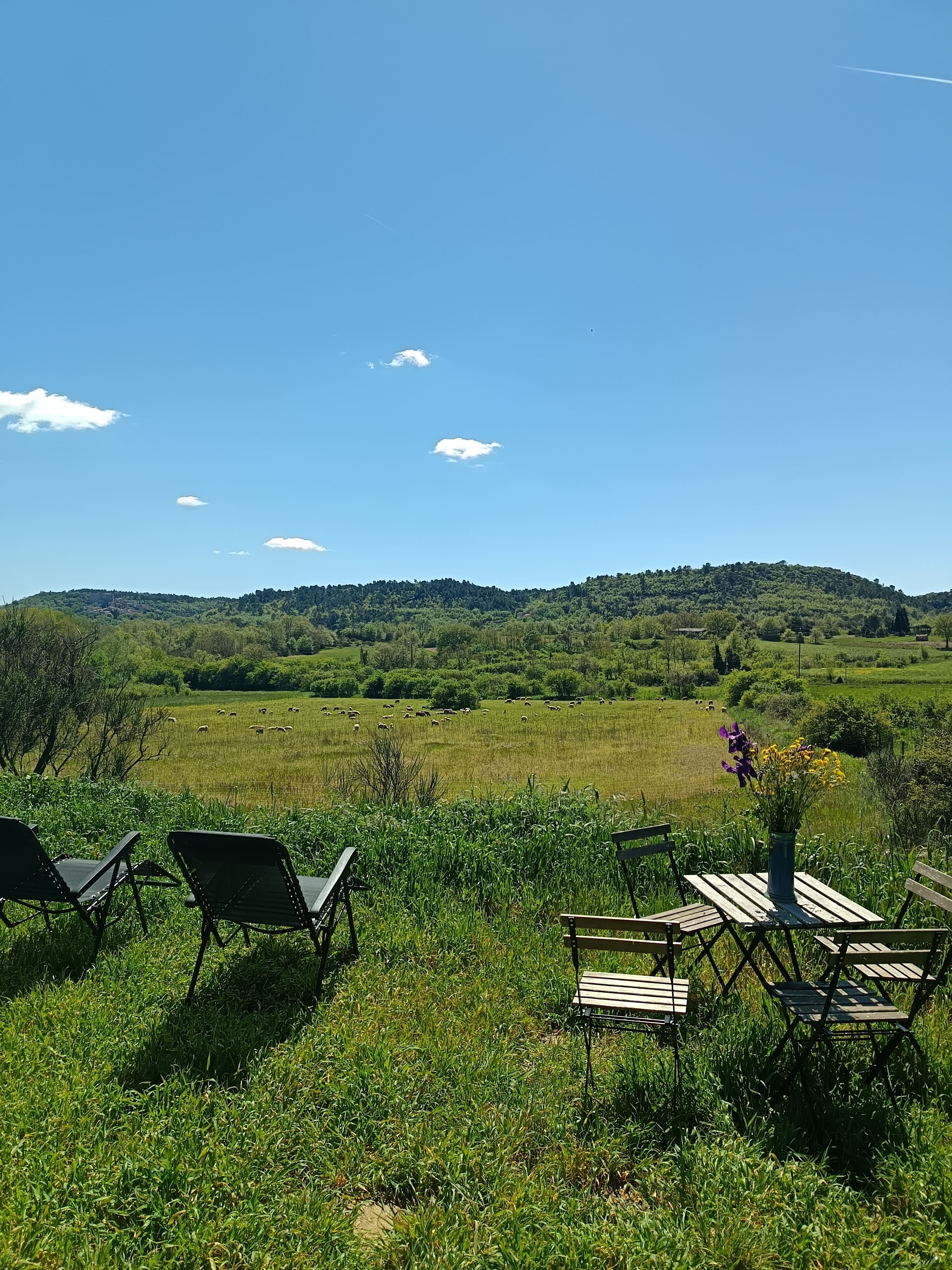 Yourte à la ferme des bréguières — Séjour avec vue panoramique à St Martin dans le Var à Saint-Martin-de-Pallières — espace de vie