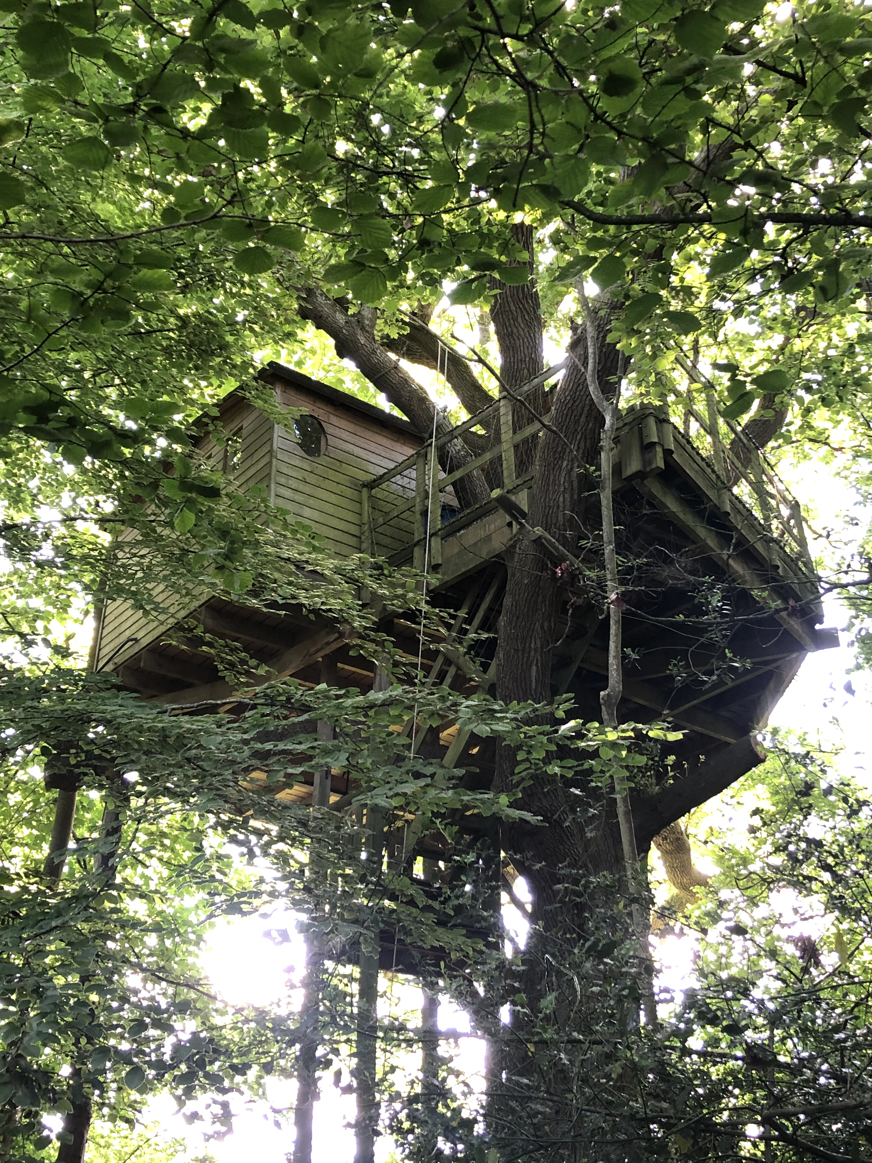 Cabane Rouge Gorge — Nuit perchée à 8m dans un chêne en Calvados