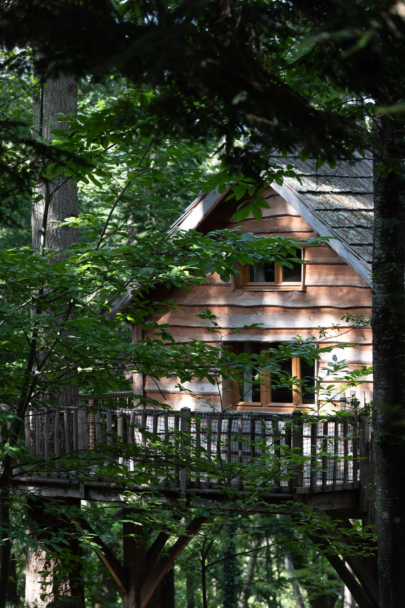 Cabane Panda : une expérience suspendue dans les arbres à Saint-Julien-Labrousse — chambre