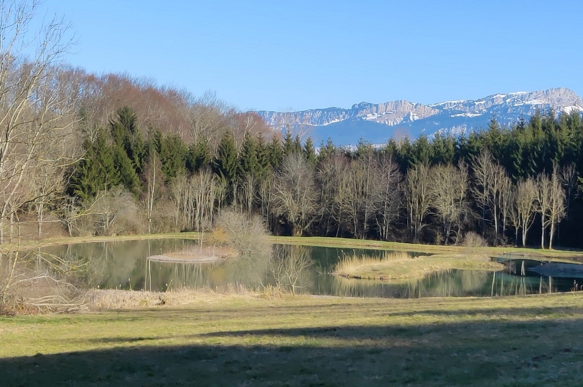 Bulle transparente et son spa