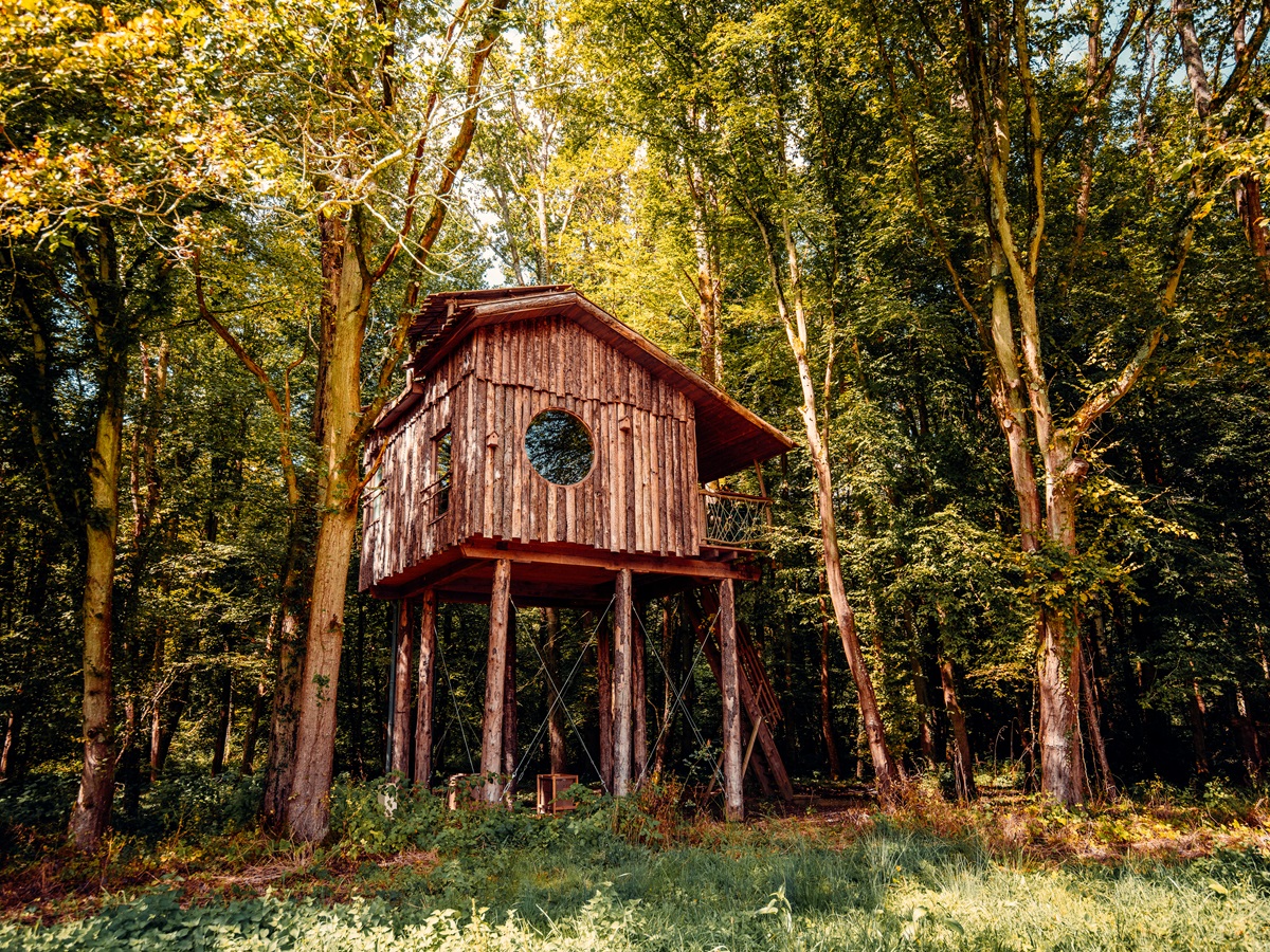 Cabane Spa Belle Forêt : une escapade insolite en Picardie — Cabane à St-Léger-Aux-Bois