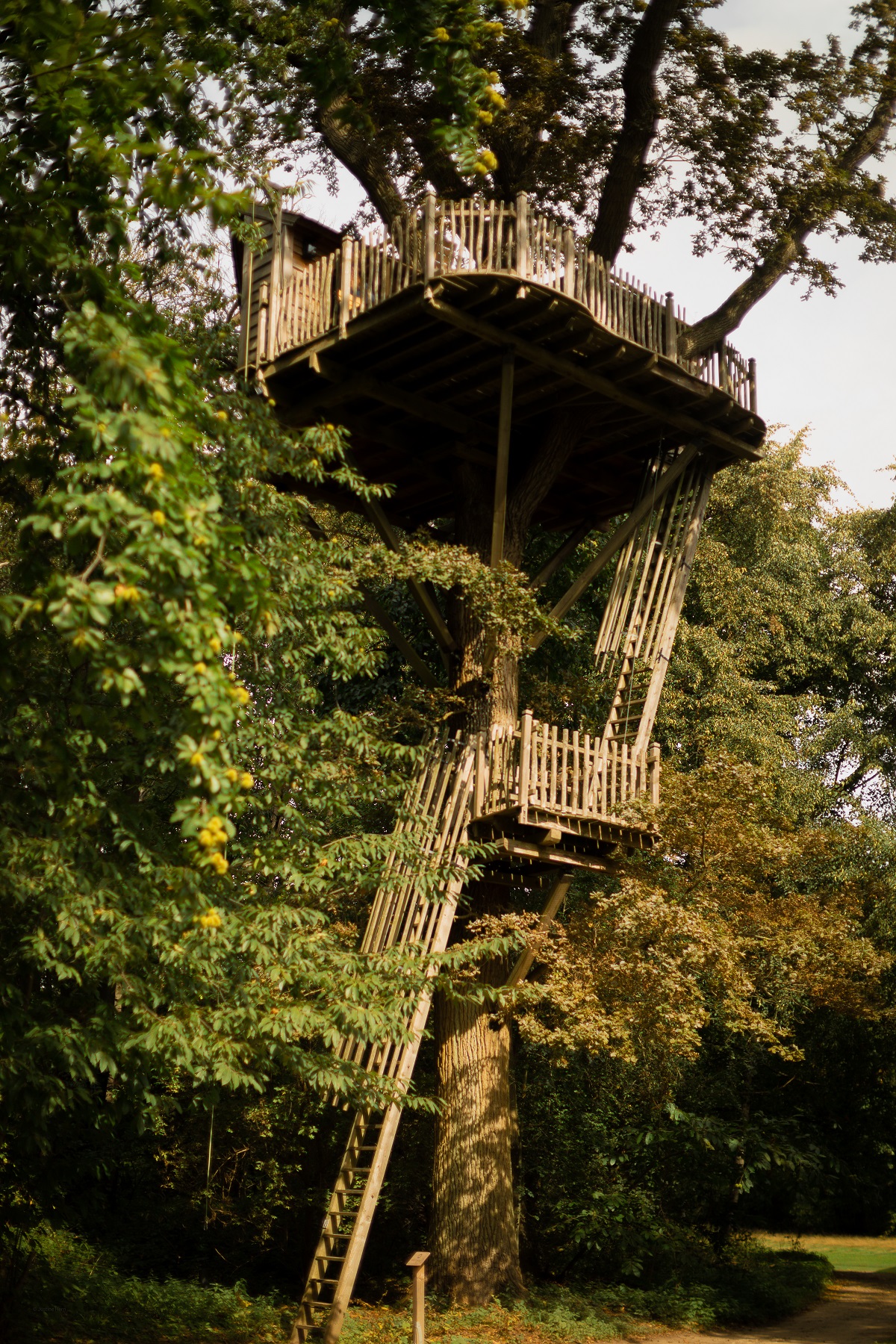 Cabane imprenable : une échappée belle dans les arbres à Raray — espace de vie