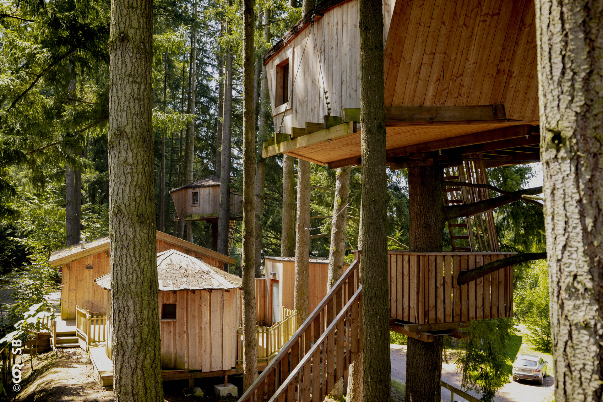 Cabane HIRONDELLE — Nuit perchée à 6m avec sauna à Rhône à Ronno — vue intérieure