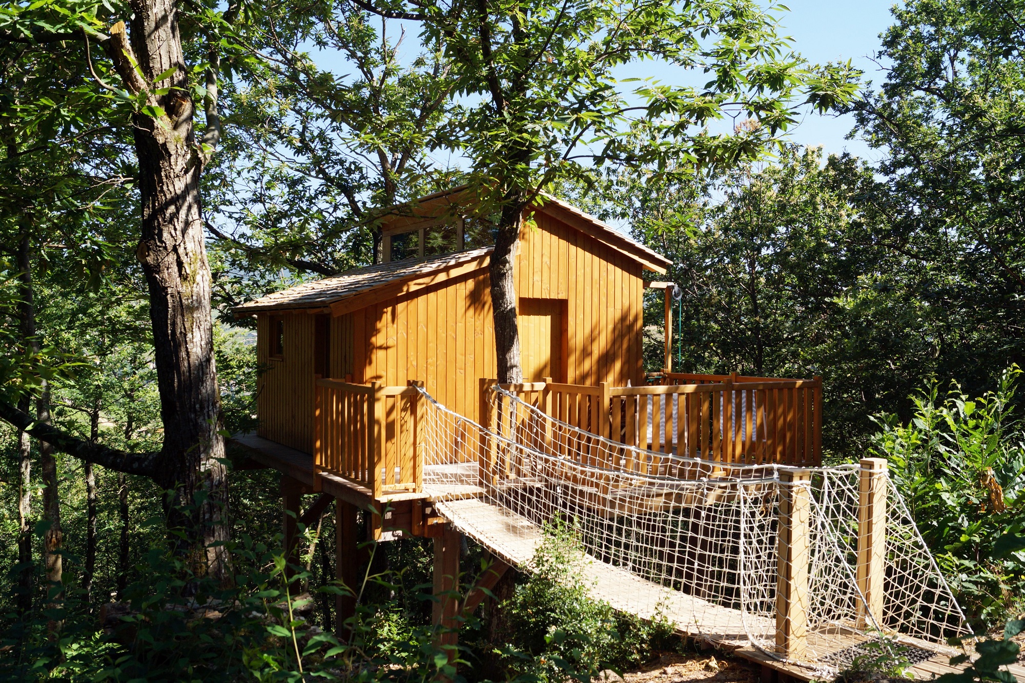 Clair de Lune : une cabane dans les arbres pour une nuit étoilée