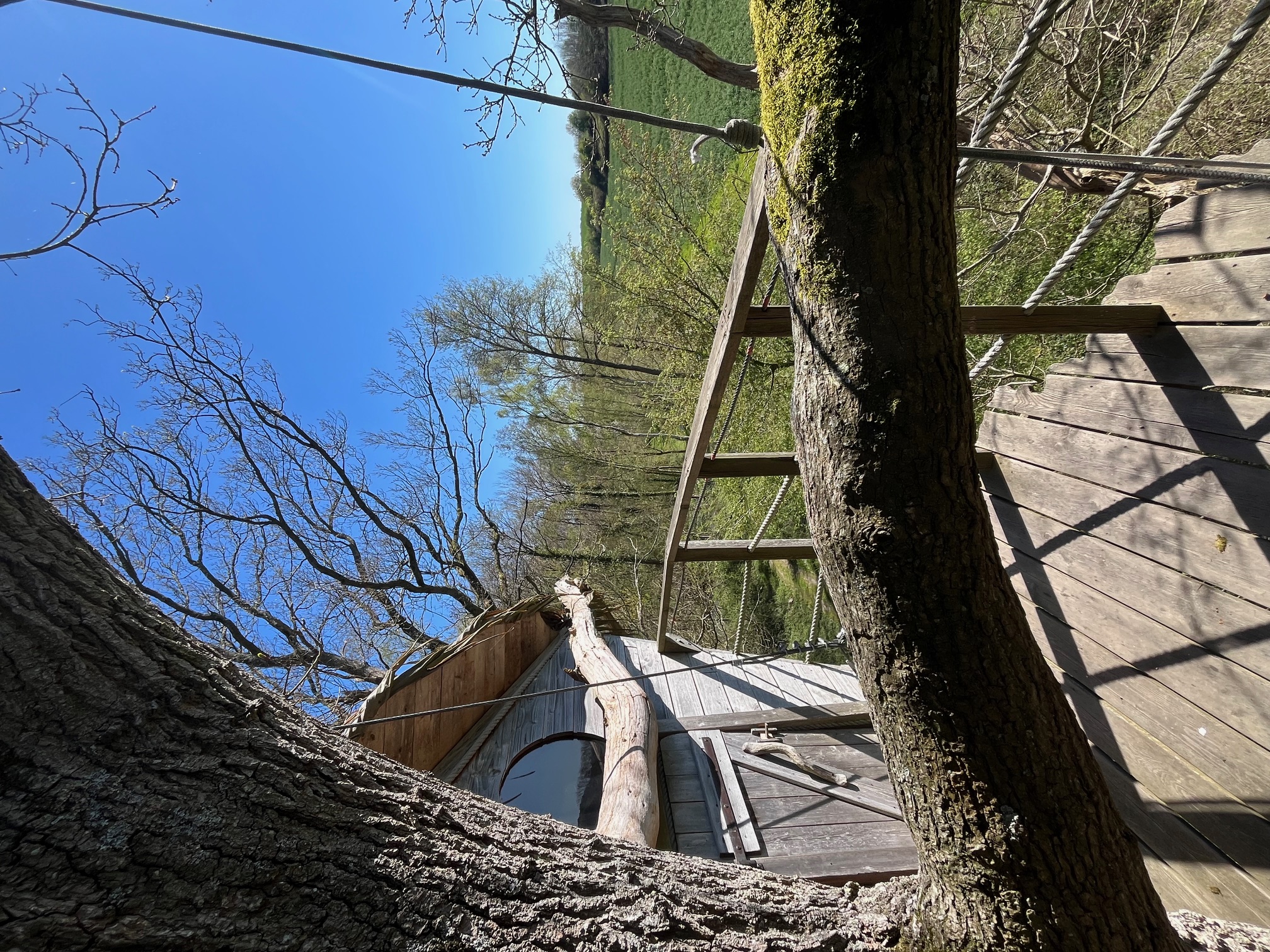 Terriers — Cabane dans les arbres perchée à 10m en Seine-Maritime à Rouen — vue depuis la terrasse