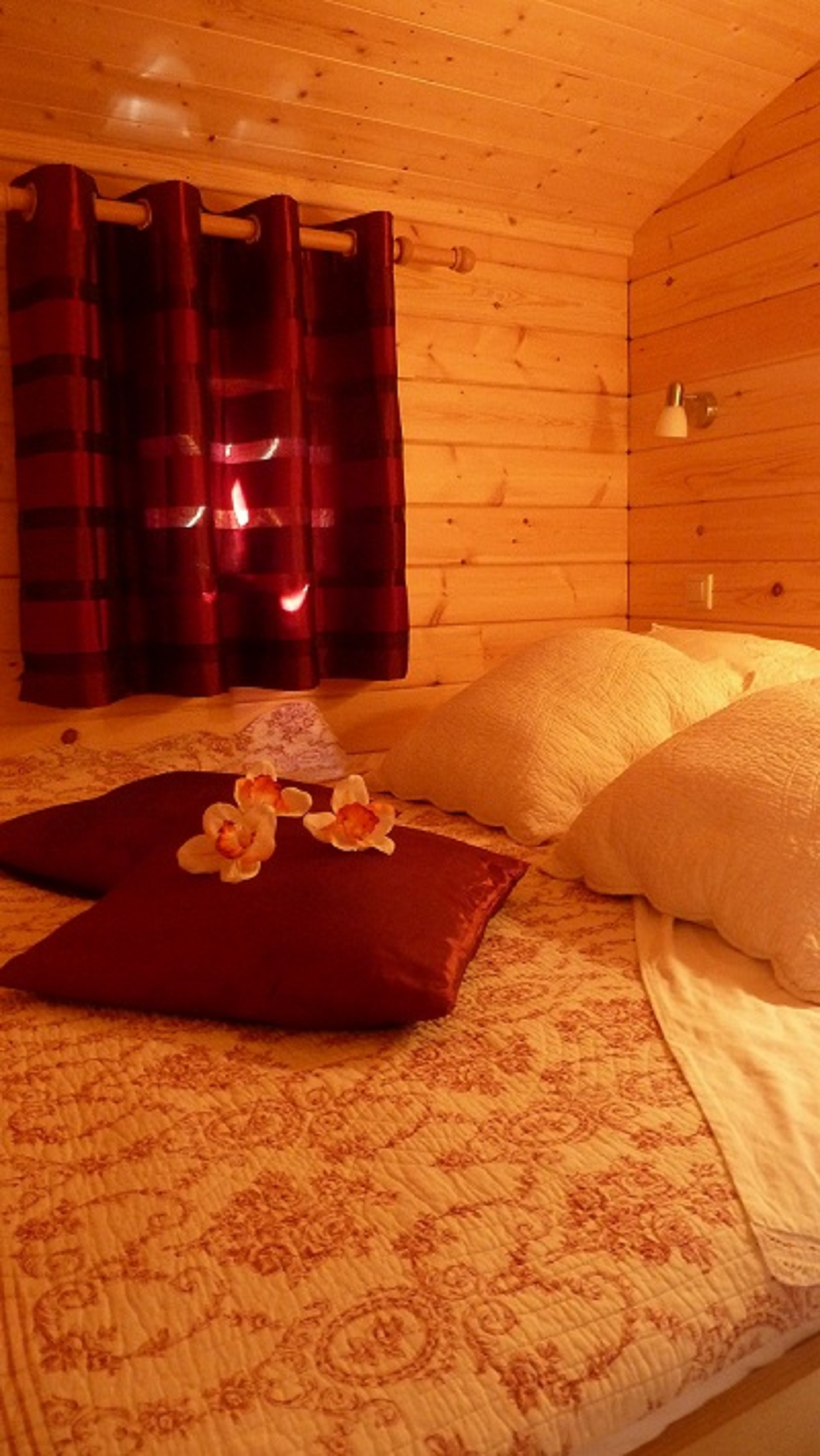 Évasion bohème dans une roulotte avec spa privatif à Elne — environnement naturel