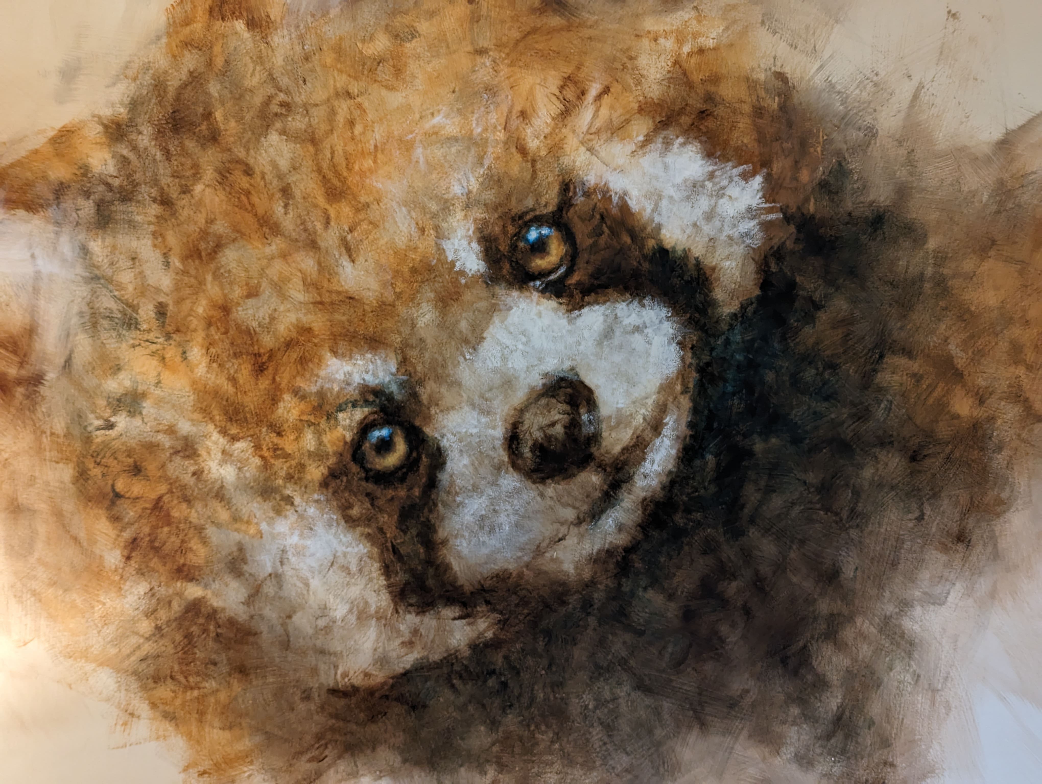 Chambre "Rêve de Panda roux" — Hébergement avec spa à Puy-de-Dôme à Orcines — espace de vie