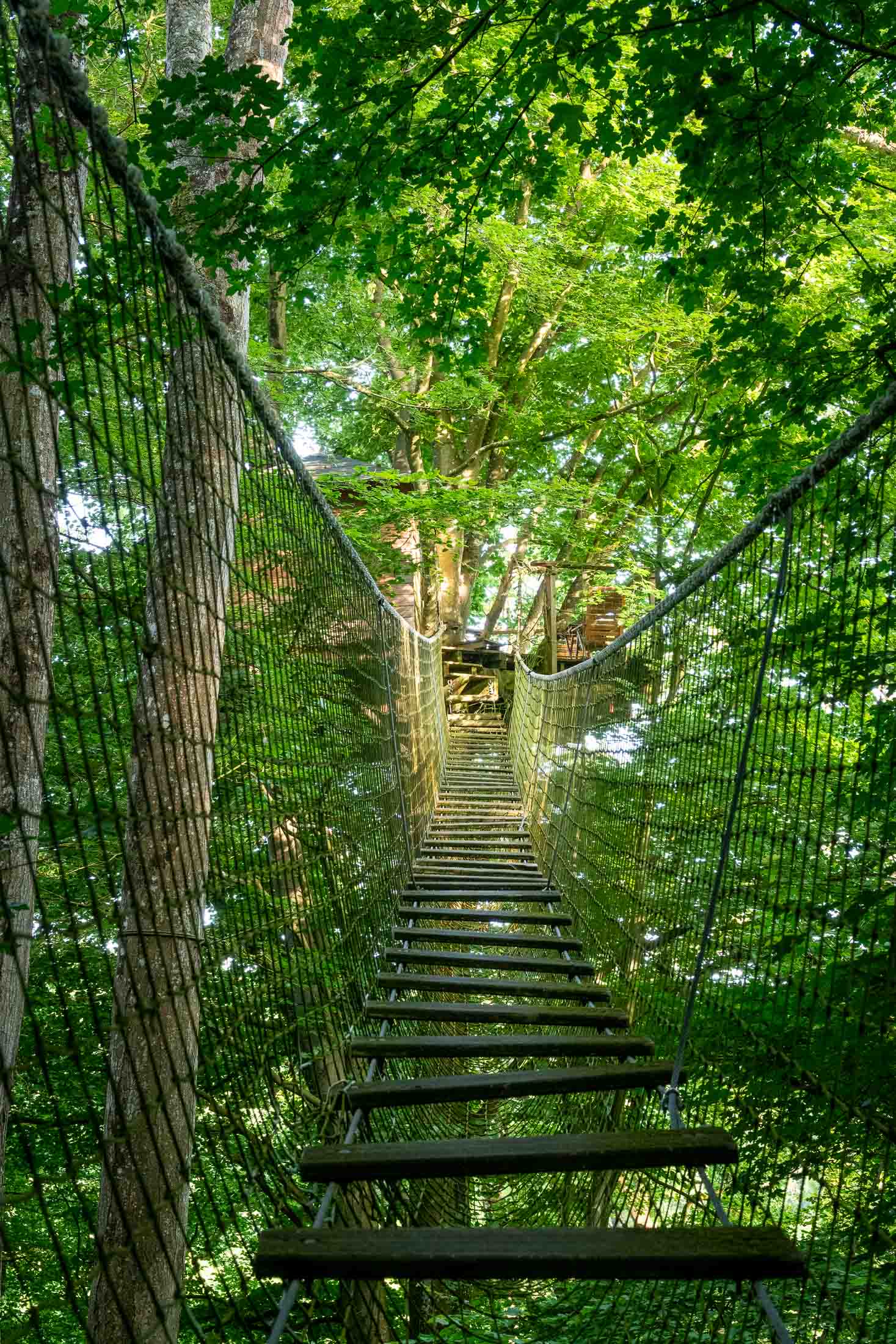 Cabane Epervier — Nuit perchée à 20m dans les arbres en Calvados à Valambray — vue intérieure