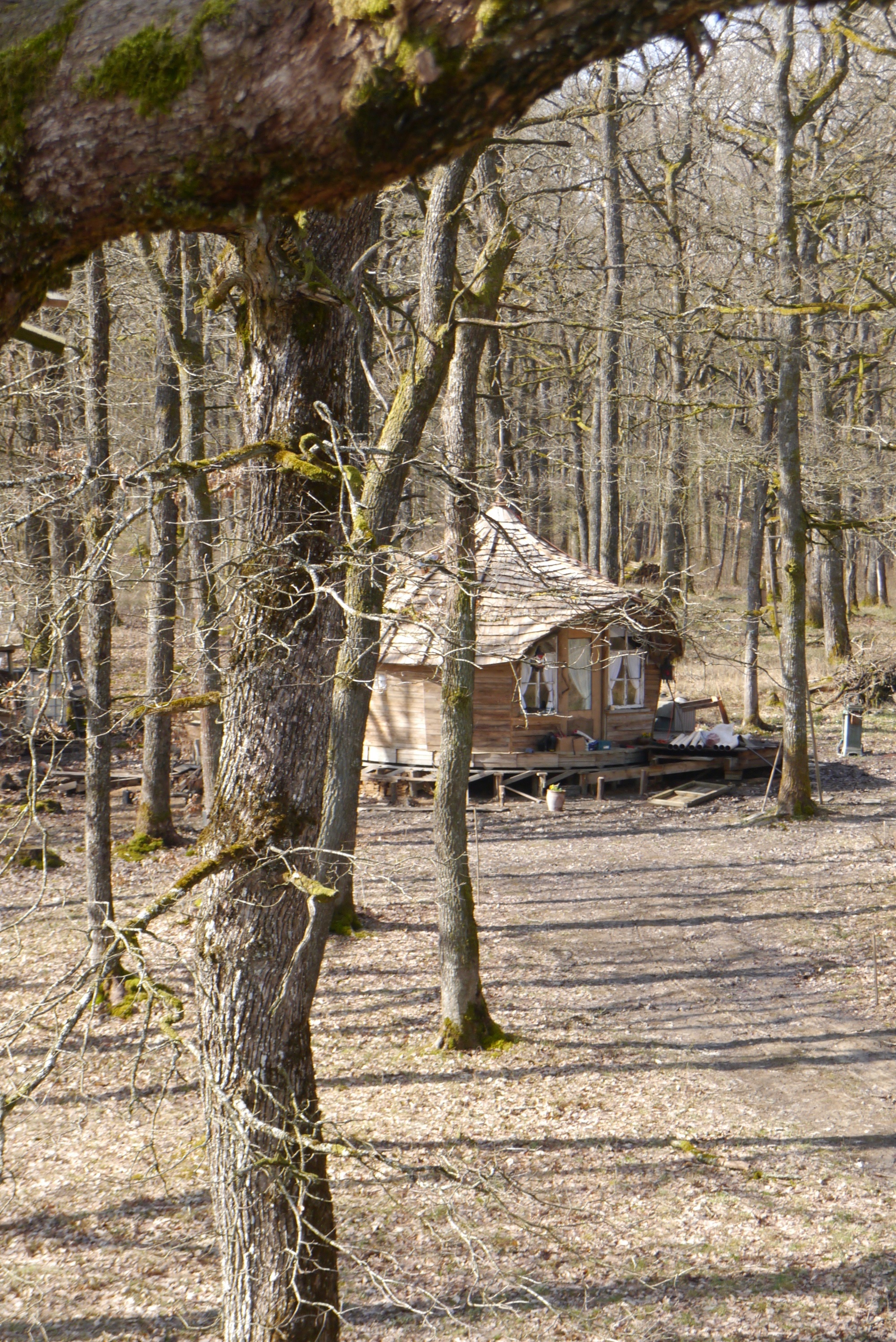 La Cabane d'Agrid : une expérience unique en pleine nature à Vittel — vue intérieure