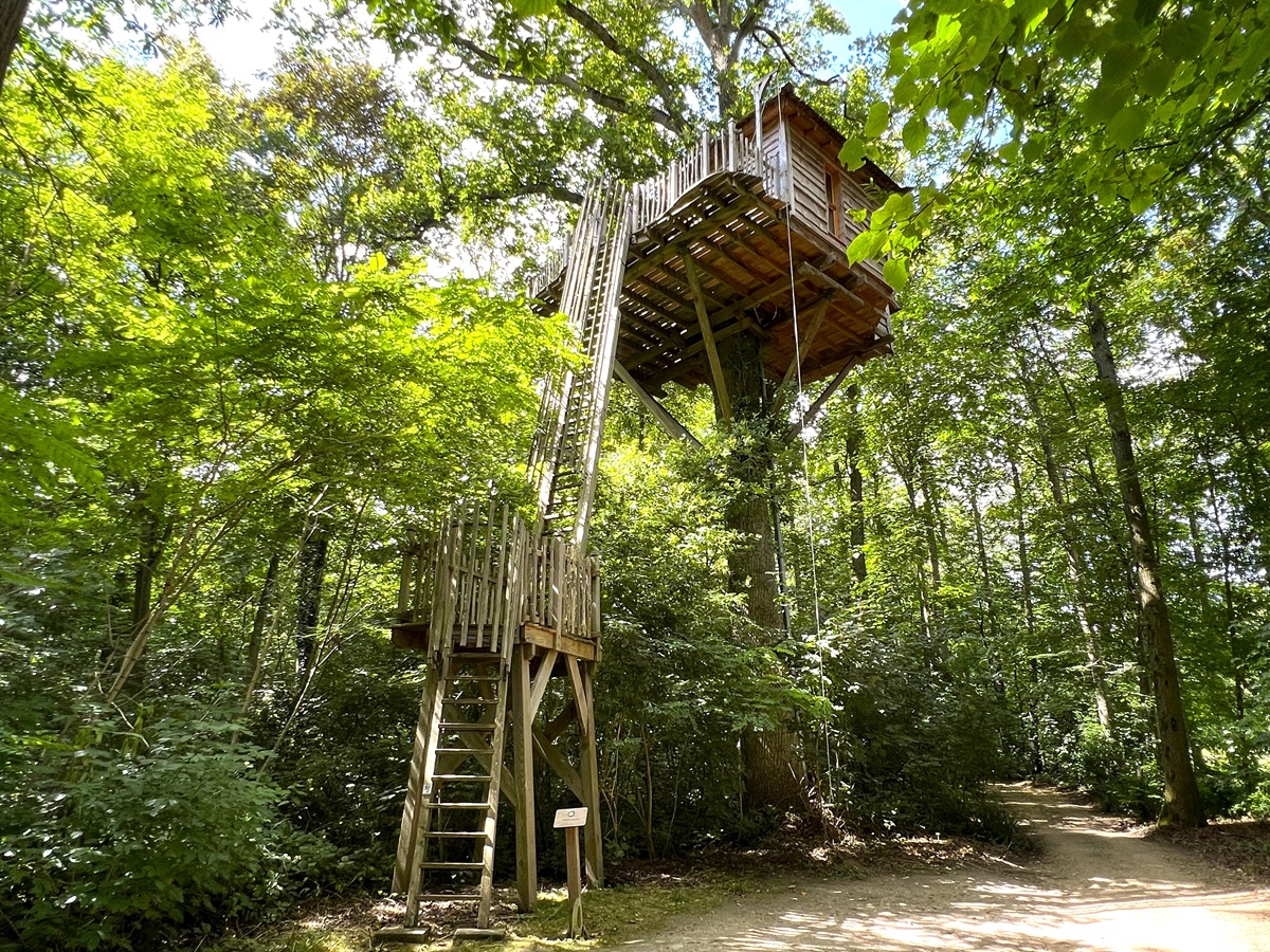 Cabane Secrète : une expérience unique dans les arbres en Picardie à Raray — vue intérieure