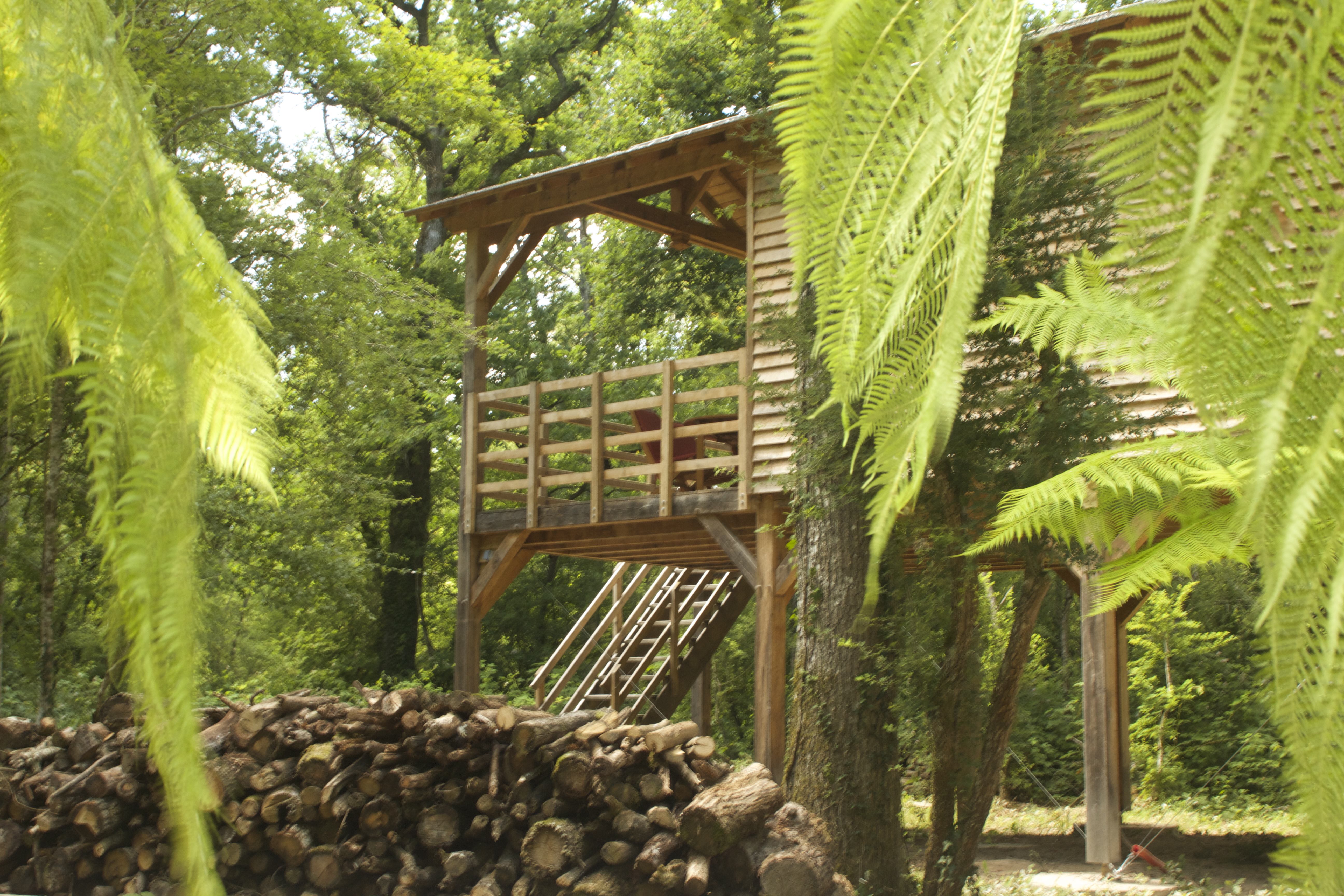 La Botaniste — Cabane sur pilotis avec spa à Maine-et-Loire à Angers — espace de vie