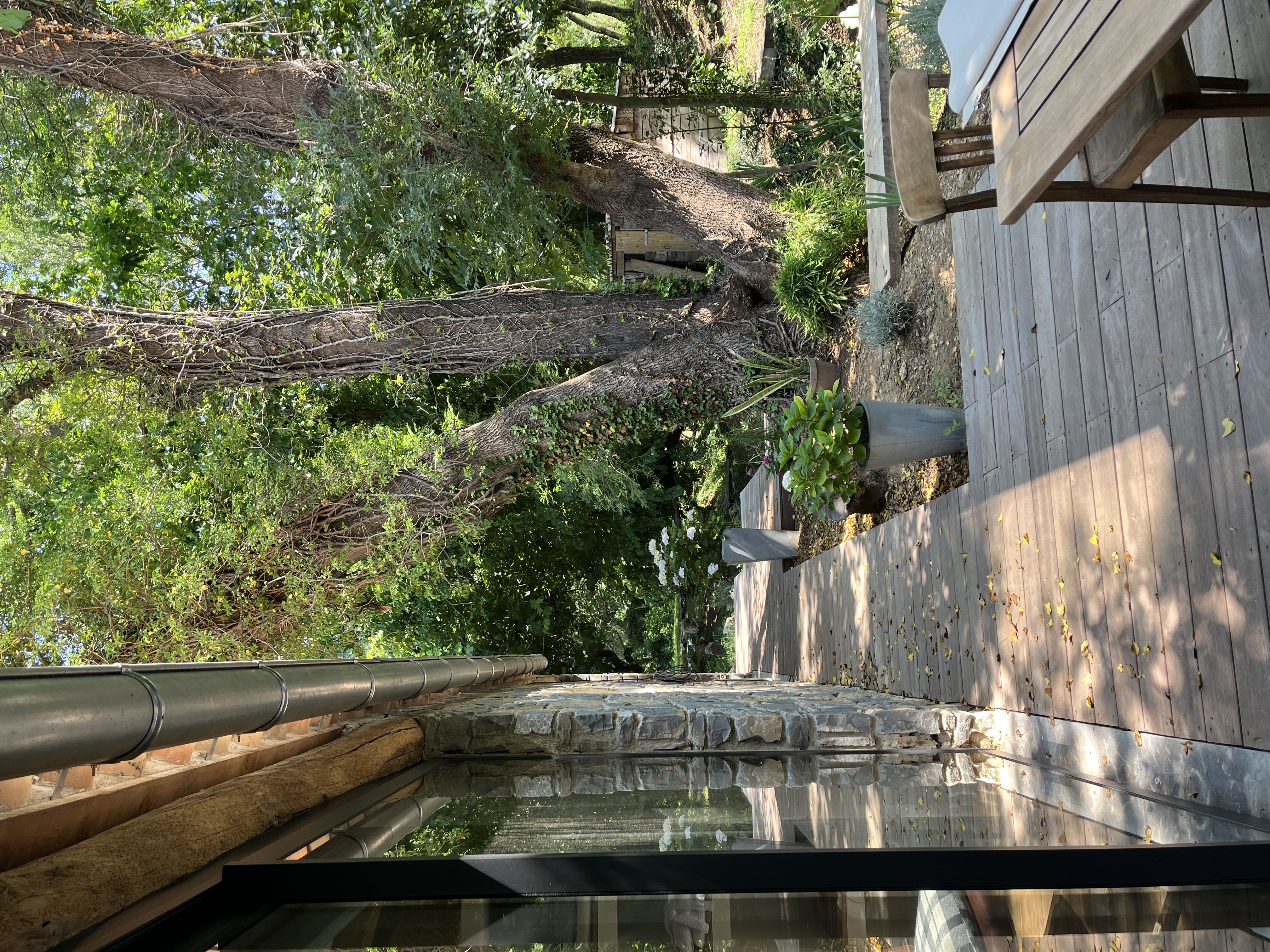 BOISBOLCHET ECOLODGE & SPA — Ecolodge avec spa à Gard à Alès — environnement naturel