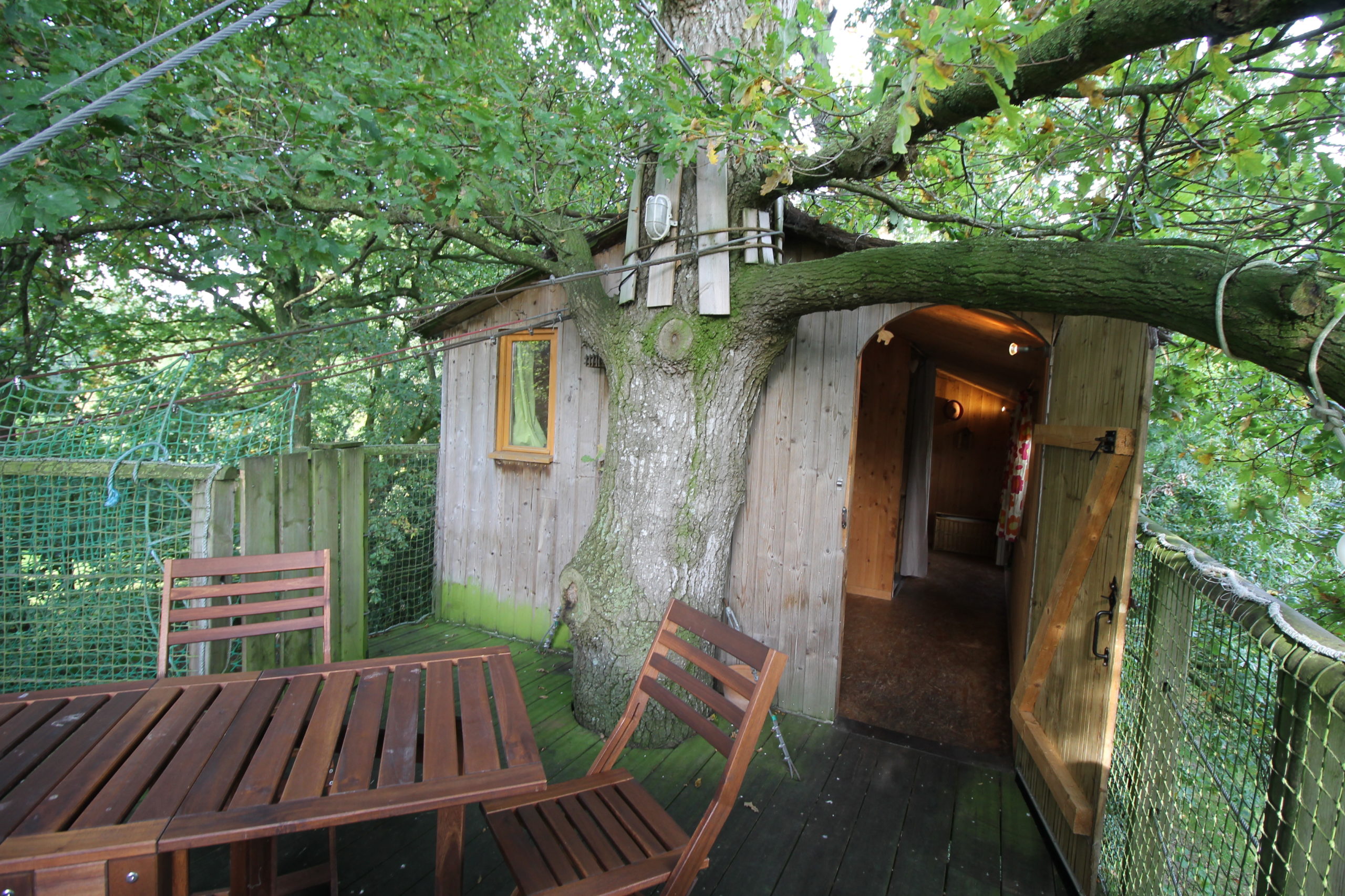 Une cabane perchée dans les arbres en Bretagne
