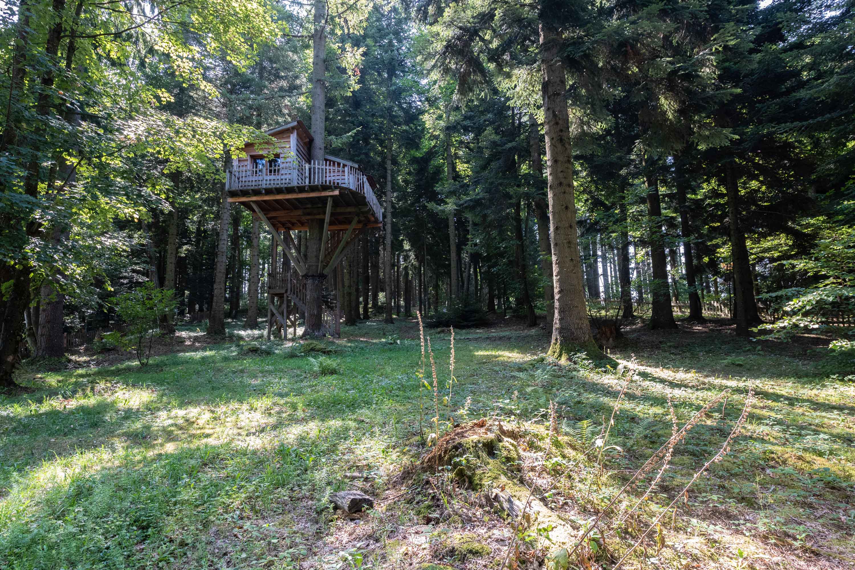 Cabane Marmotte : une expérience suspendue dans les arbres — Cabane à Saint-Julien-Labrousse