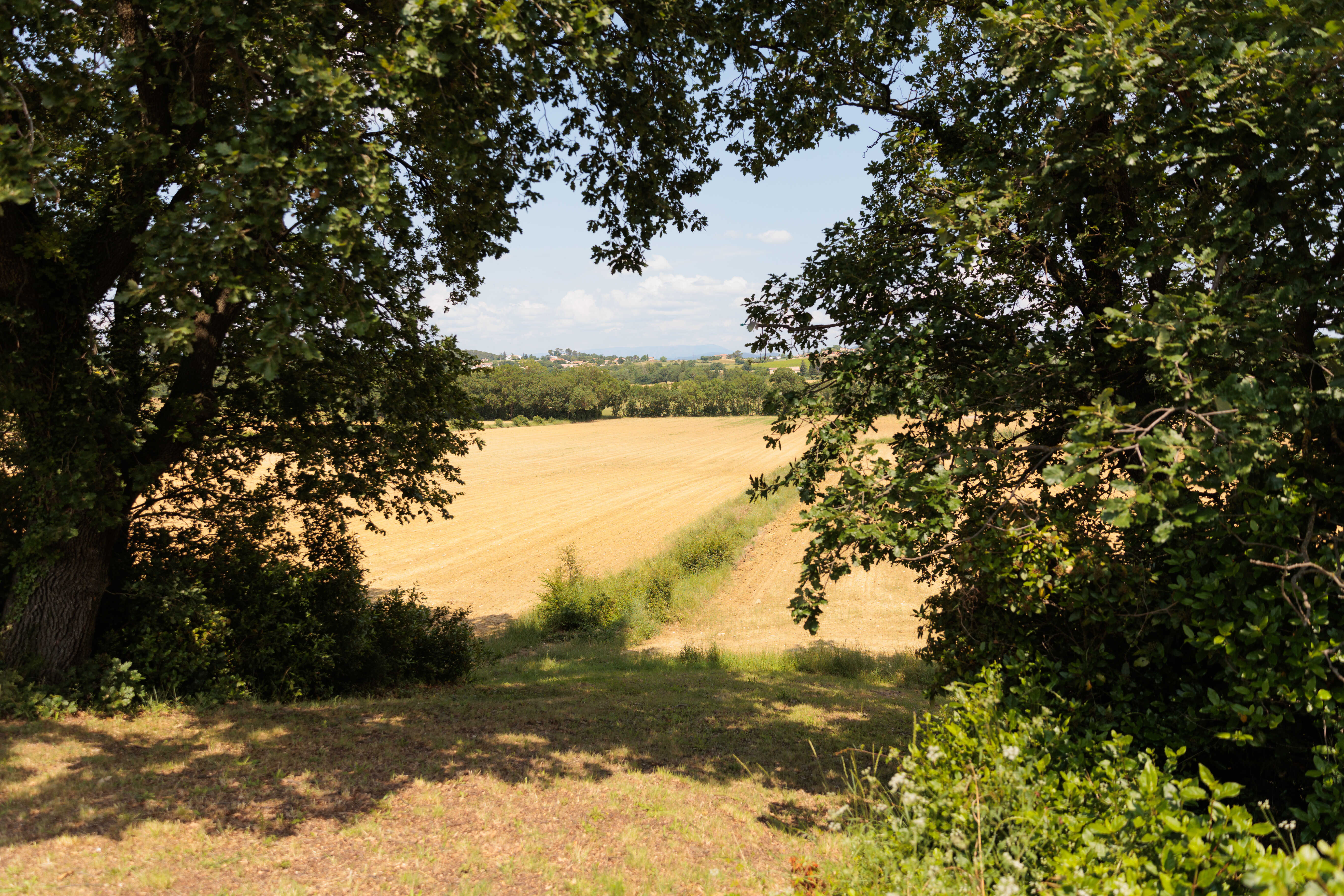 La Cabane Cassanha & Spa : une évasion romantique en pleine nature à Méjannes-Lès-Alès — environnement naturel