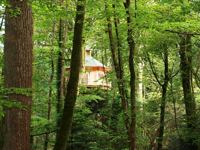 Cabane Vigie : une expérience suspendue dans les arbres — Cabane à Cléder