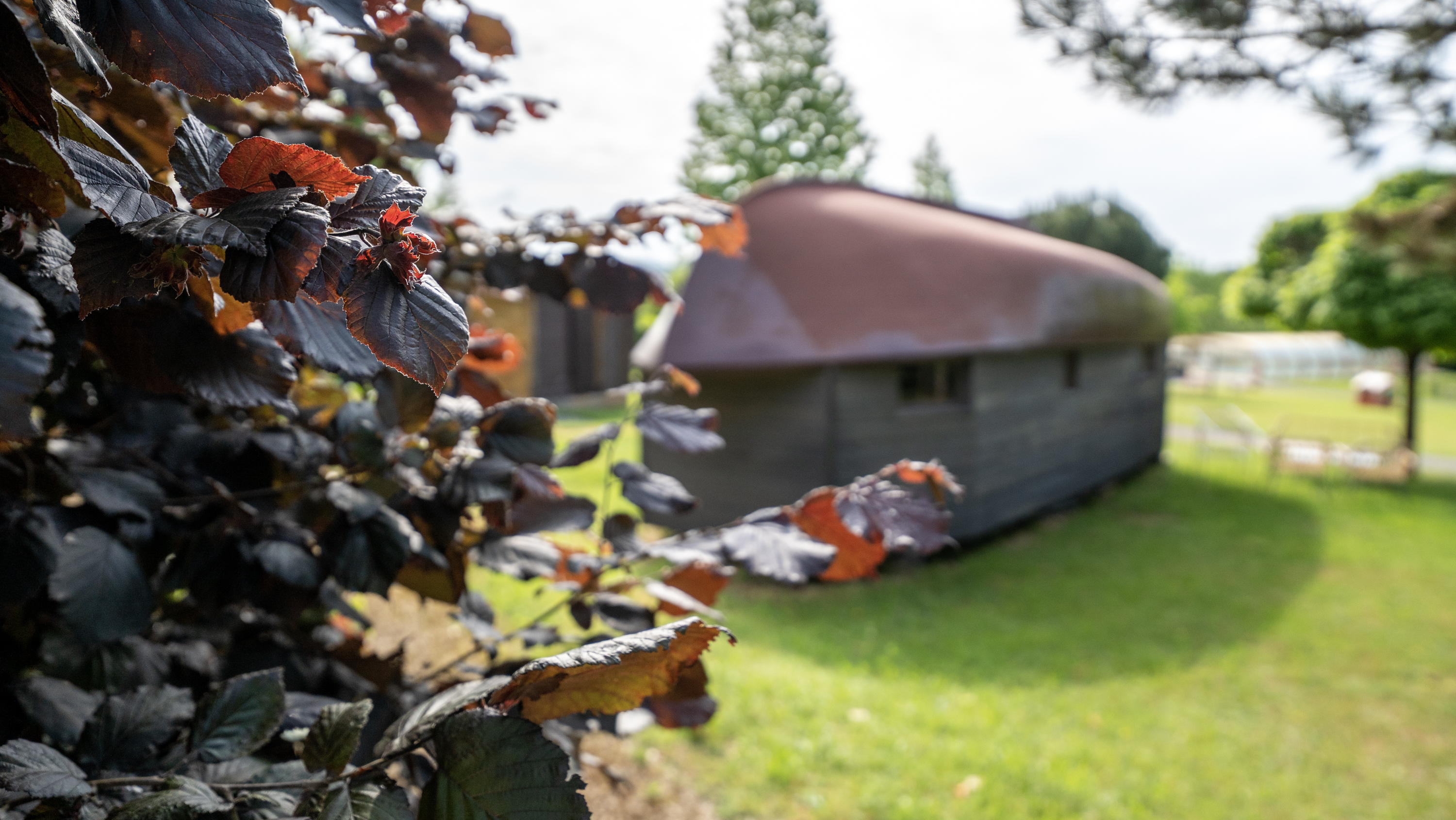 Cabane familiale le Rêve de Robinson : une escapade enchantée en Limousin