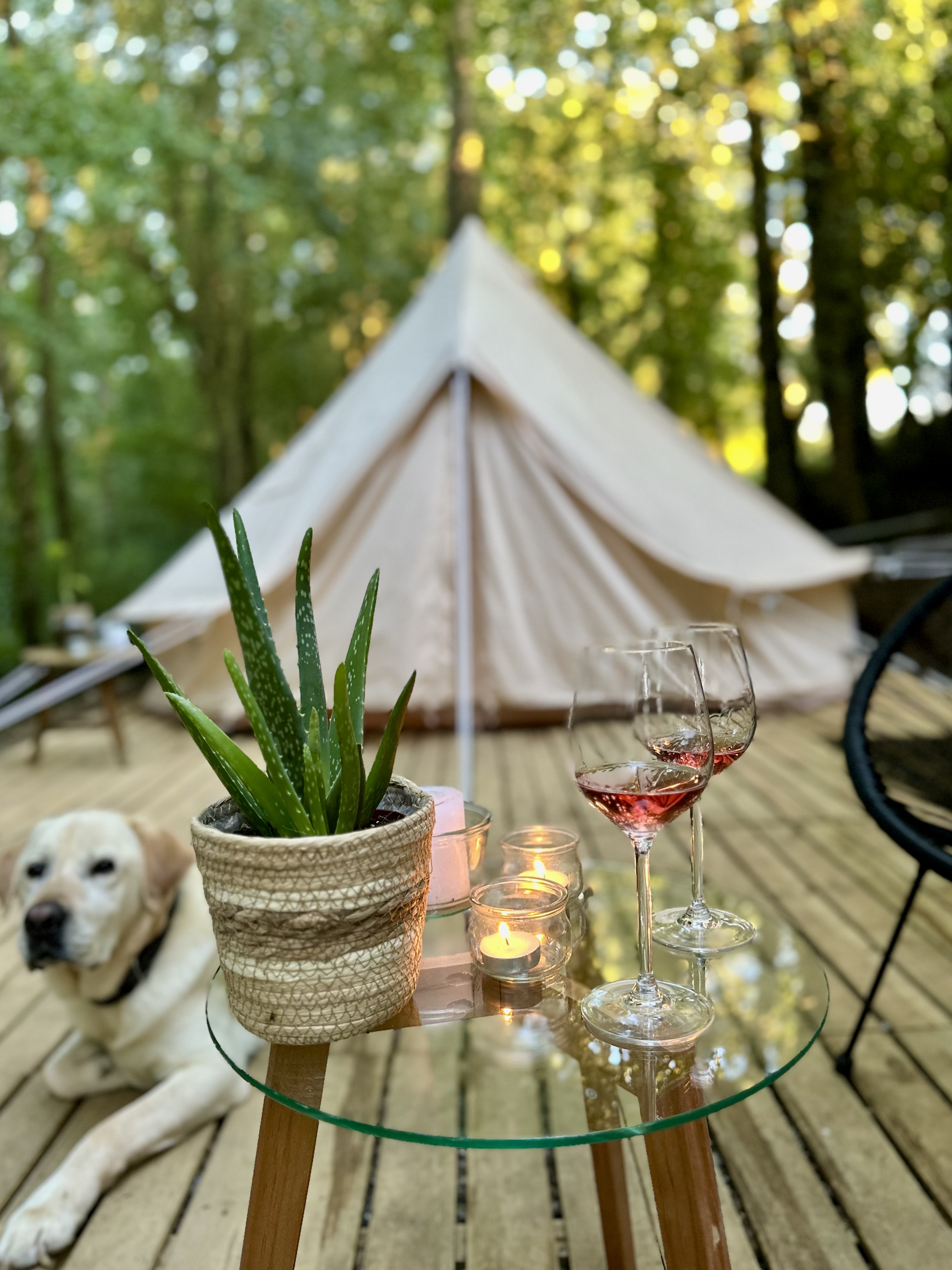 Séjournez dans un lodge insolite en pleine nature à Lasseran — vue intérieure