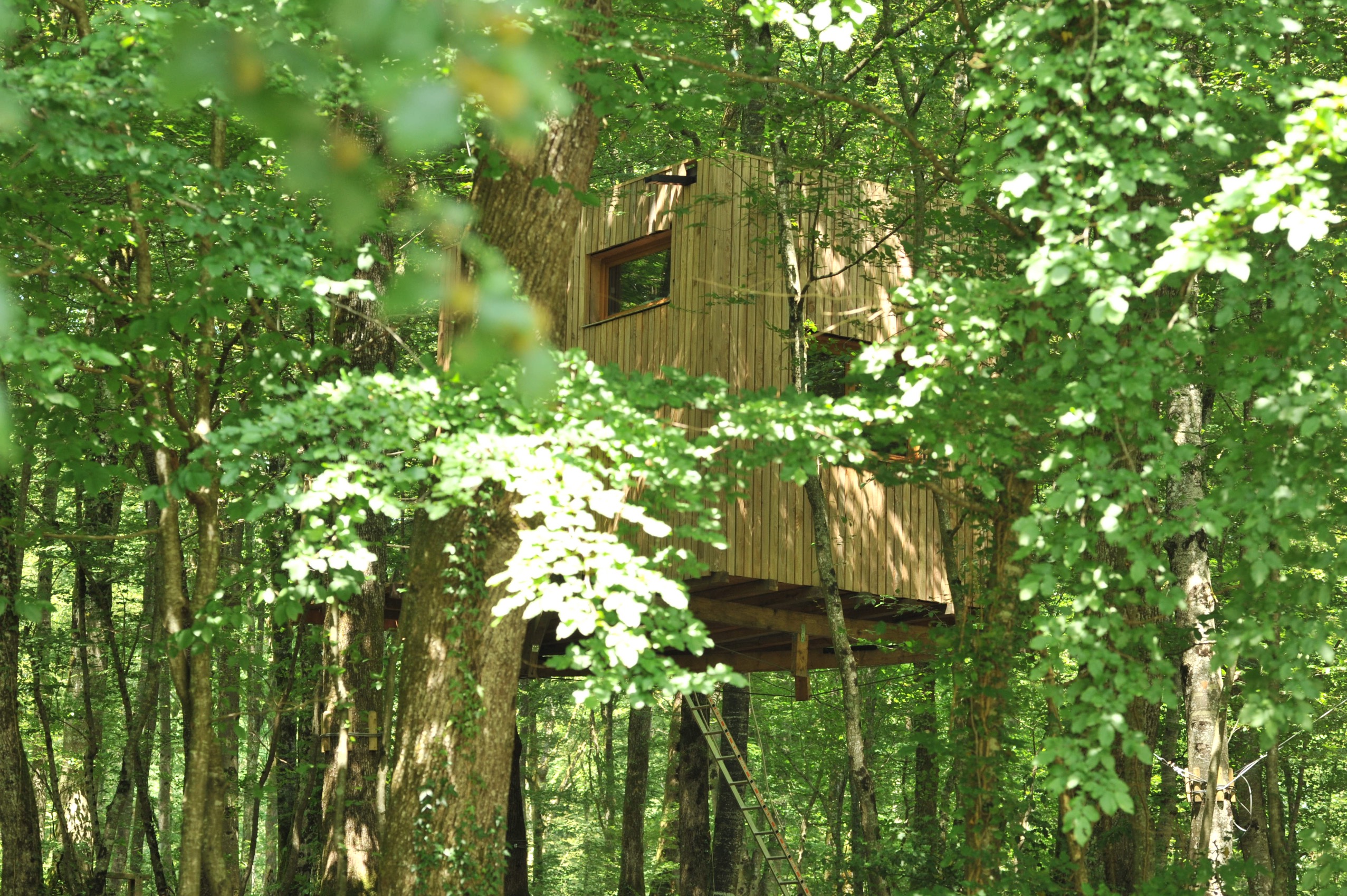 Cabane Ecureuil : une expérience suspendue dans les arbres à Mont Sous Vaudrey — salle de bain