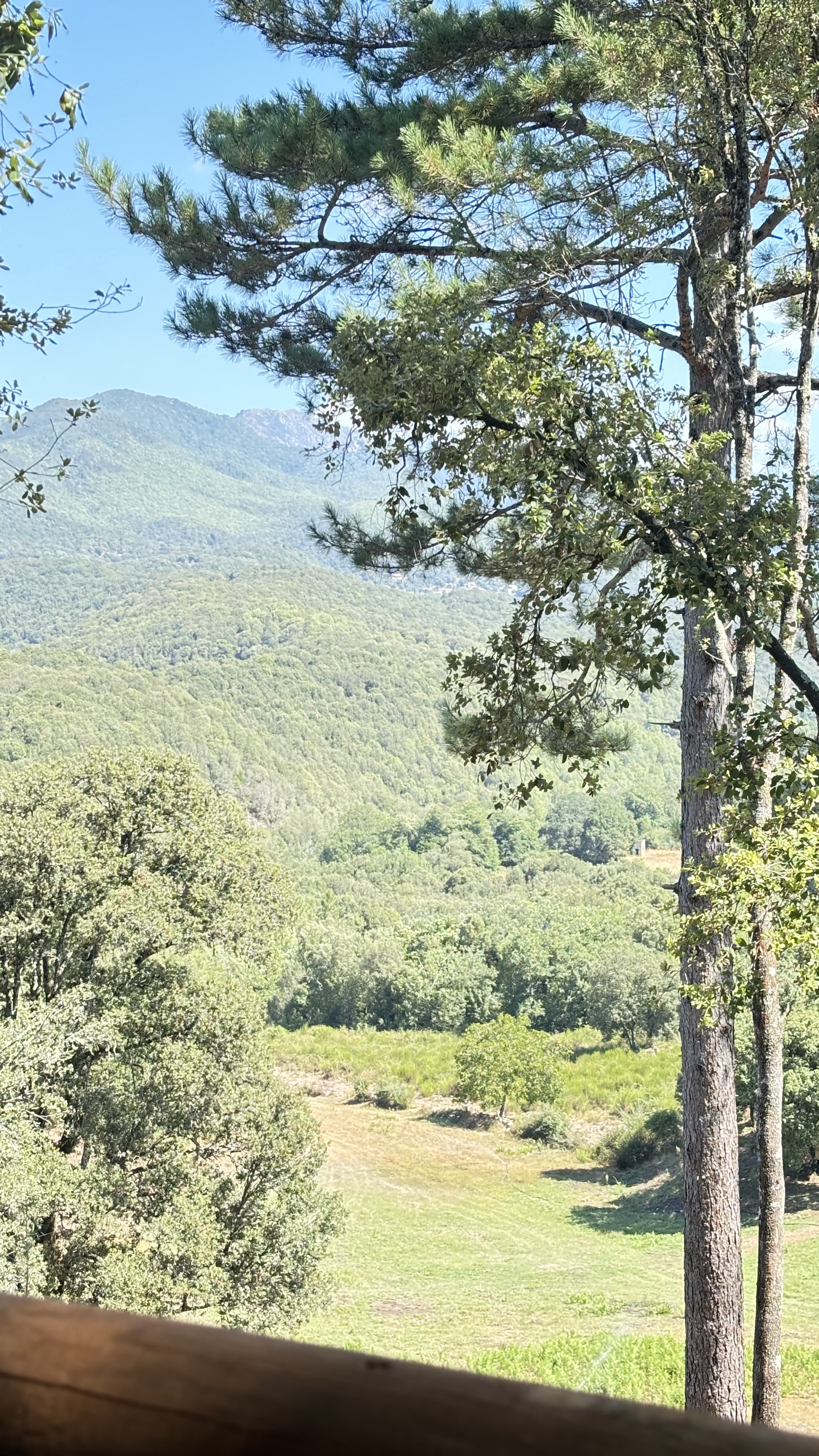 NASSA — Tente avec spa et vue panoramique en Corse-du-Sud à Olivese — environnement naturel