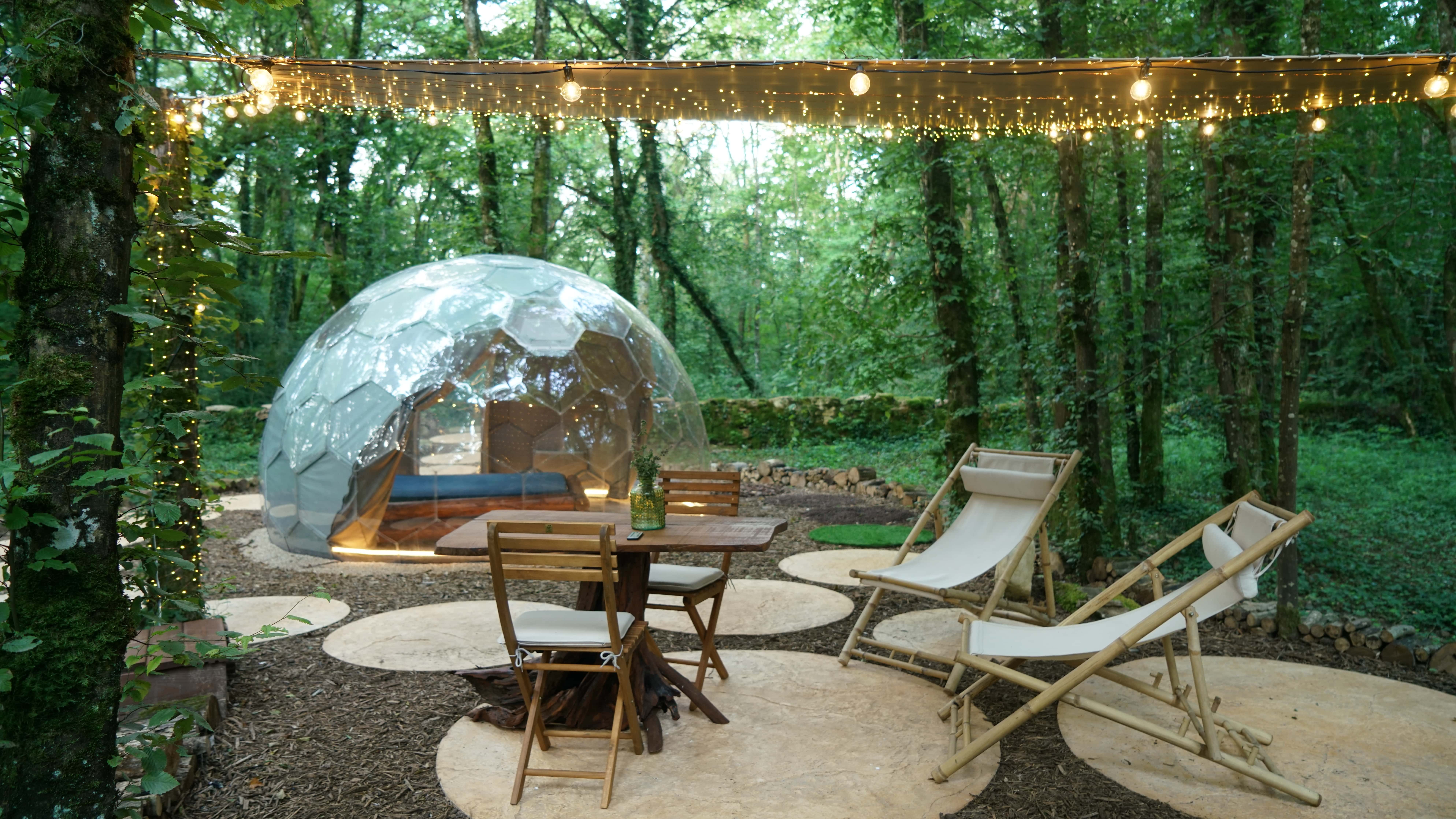 Bulle au cœur des bois - Royaume des Textures