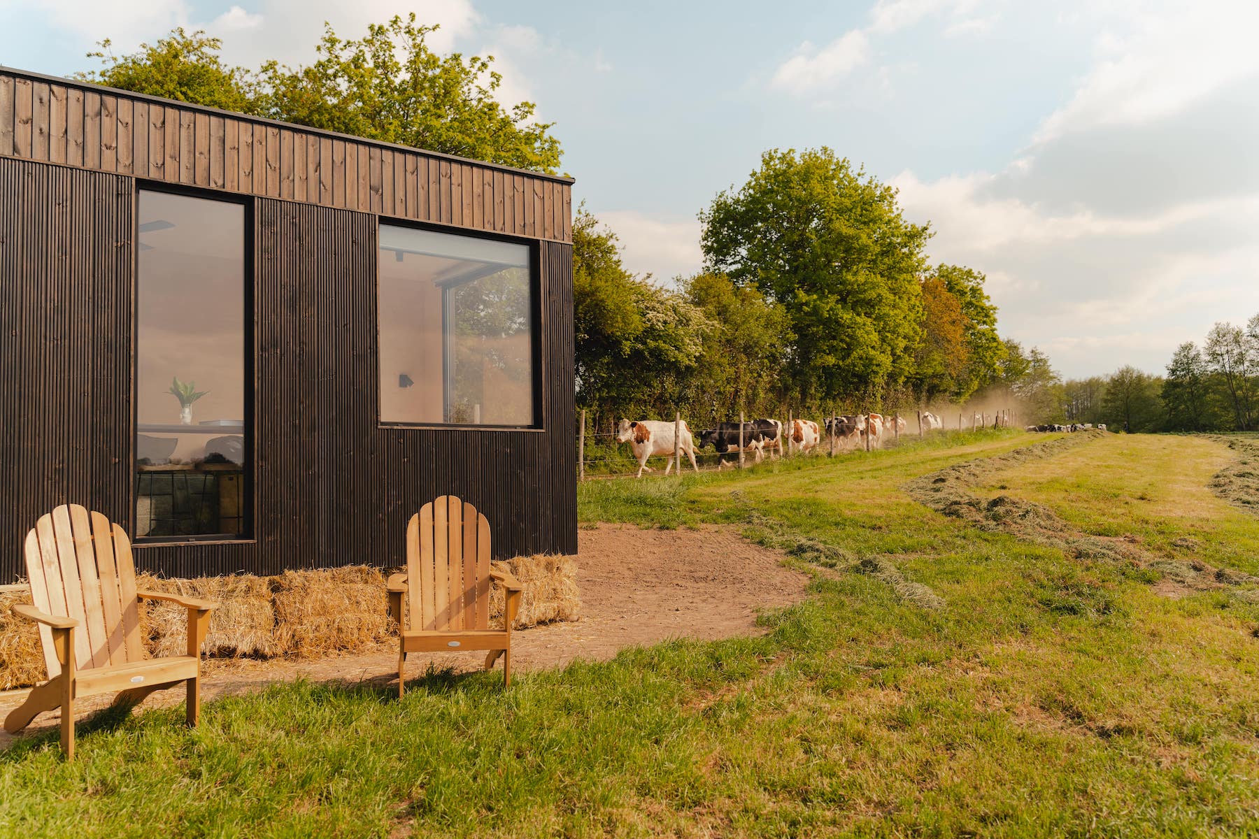 Évasion en Tiny House au cœur des Alpes Mancelles à Moulins-Le-Carbonnel — vue intérieure