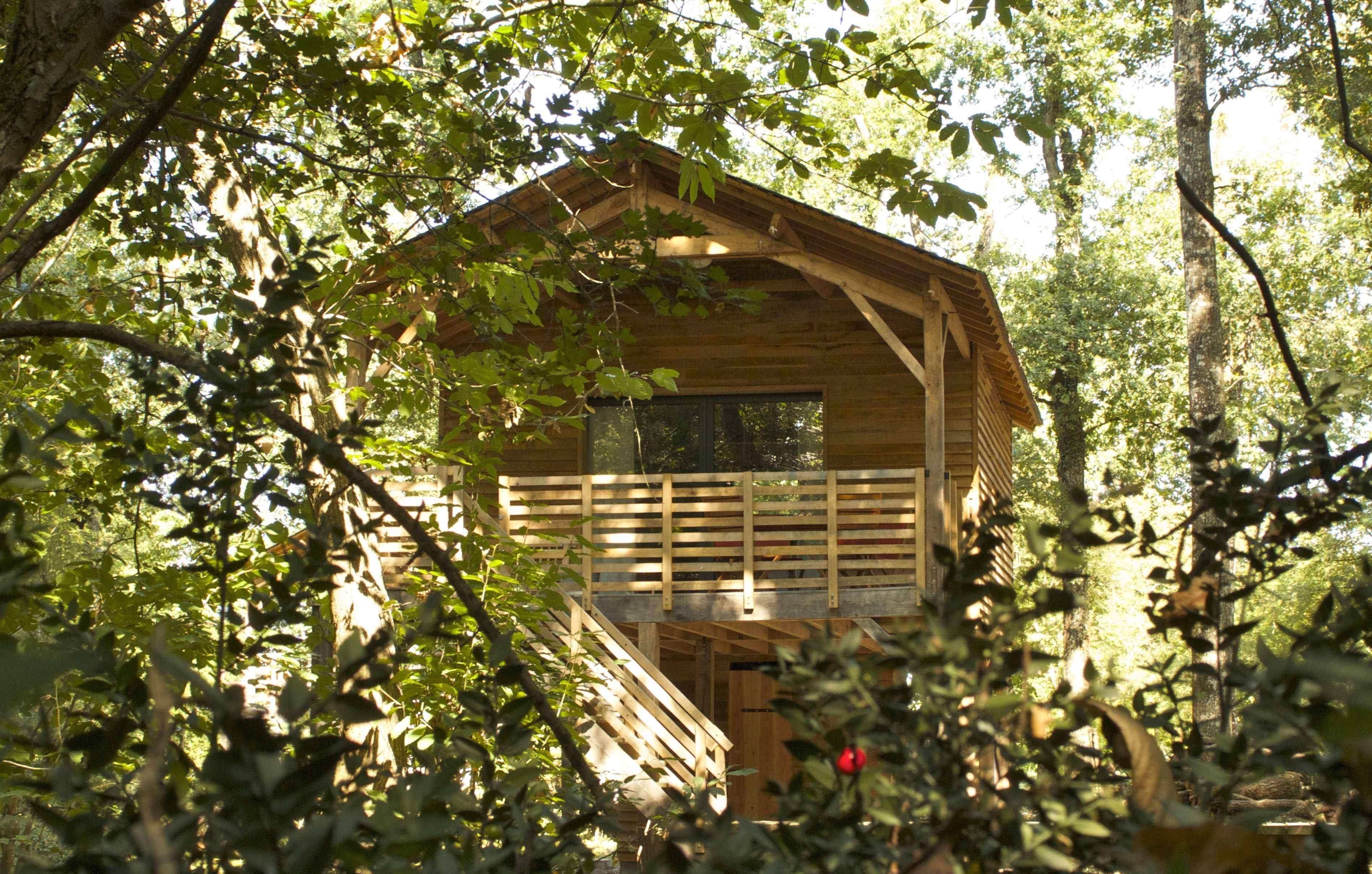 La Viticole : un écolodge immersif au cœur des Pays de la Loire