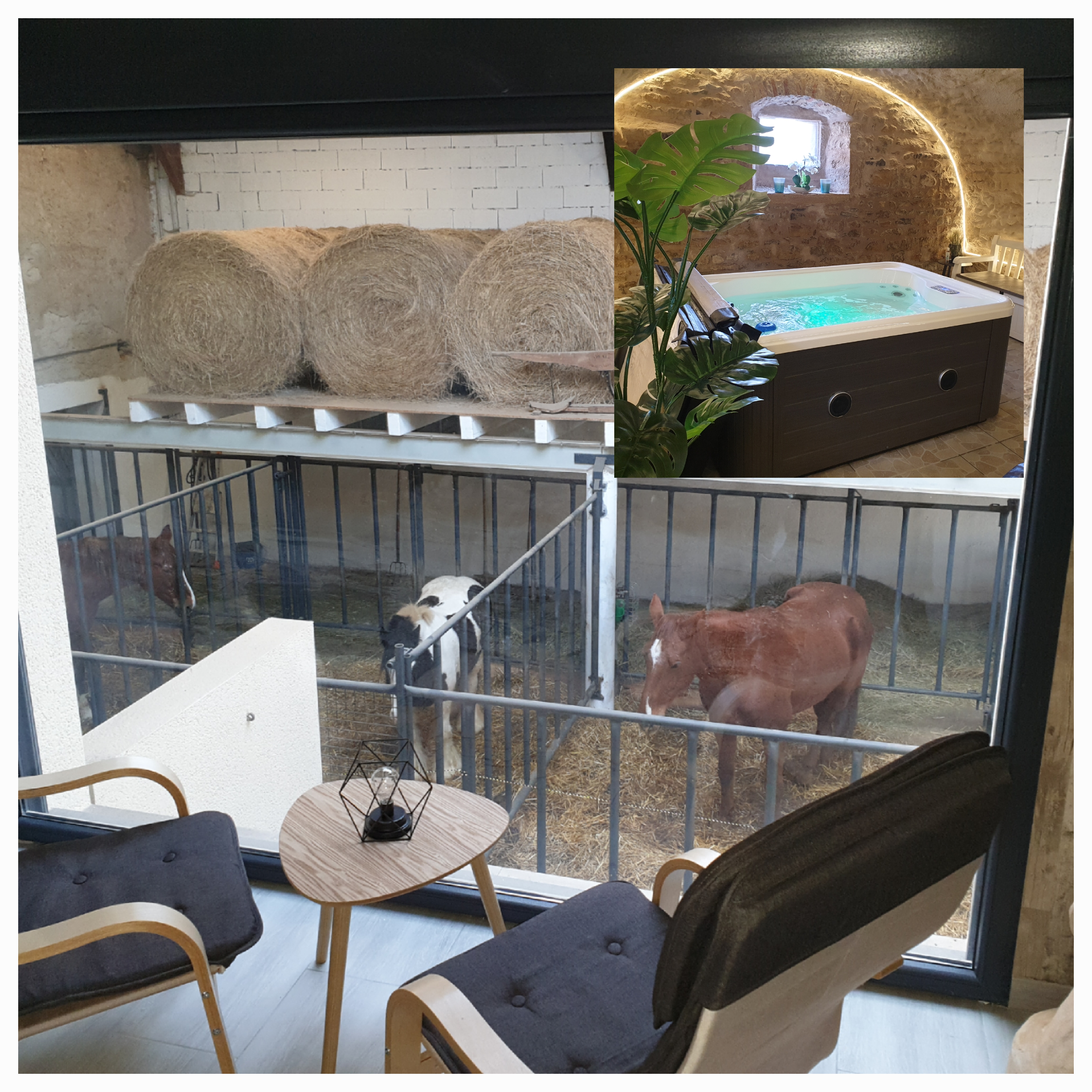Chambre 4 — Séjour avec vue panoramique à Équi-lodges Vosges à Épinal — espace de vie