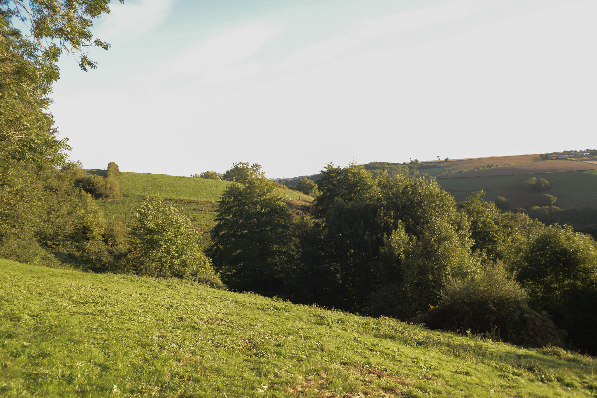 La Tente de Glamping — Tente avec piscine à Puech Long (Tarn) à Albi — vue depuis la terrasse
