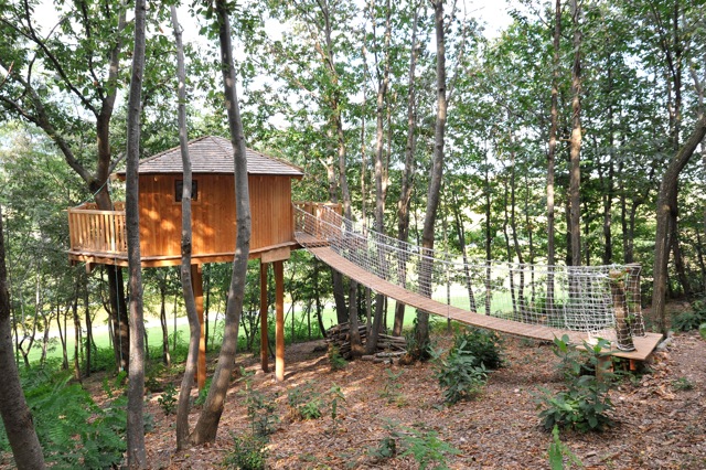 Le Nid d'amour : une cabane perchée pour une escapade romantique à Quincié En Beaujolais — espace de vie