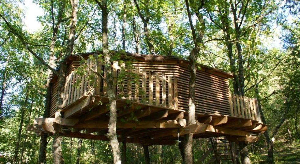 Photo 5/9 — Cabane « La Cabane de Manon : une escapade enchantée dans les arbres » à Beynes Provence-Alpes-Côte d'Azur
