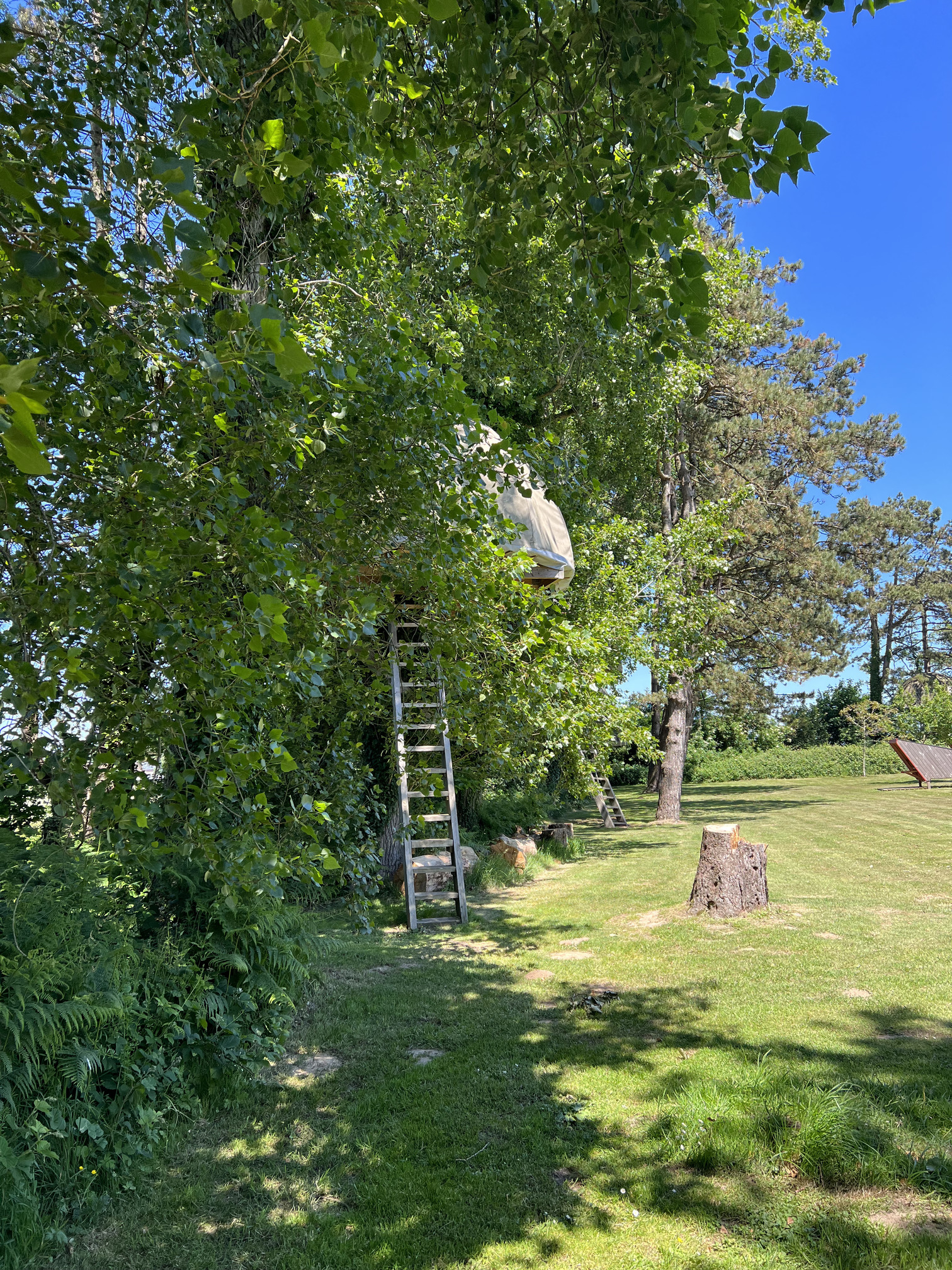 Treecamp-Etretat Aventure — Cabane dans les arbres à 6m en Seine-Maritime