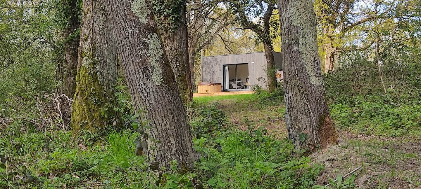 La Démaillère — Cabane avec bain nordique à Loiret à La Ferté-Saint-Aubin — espace de vie