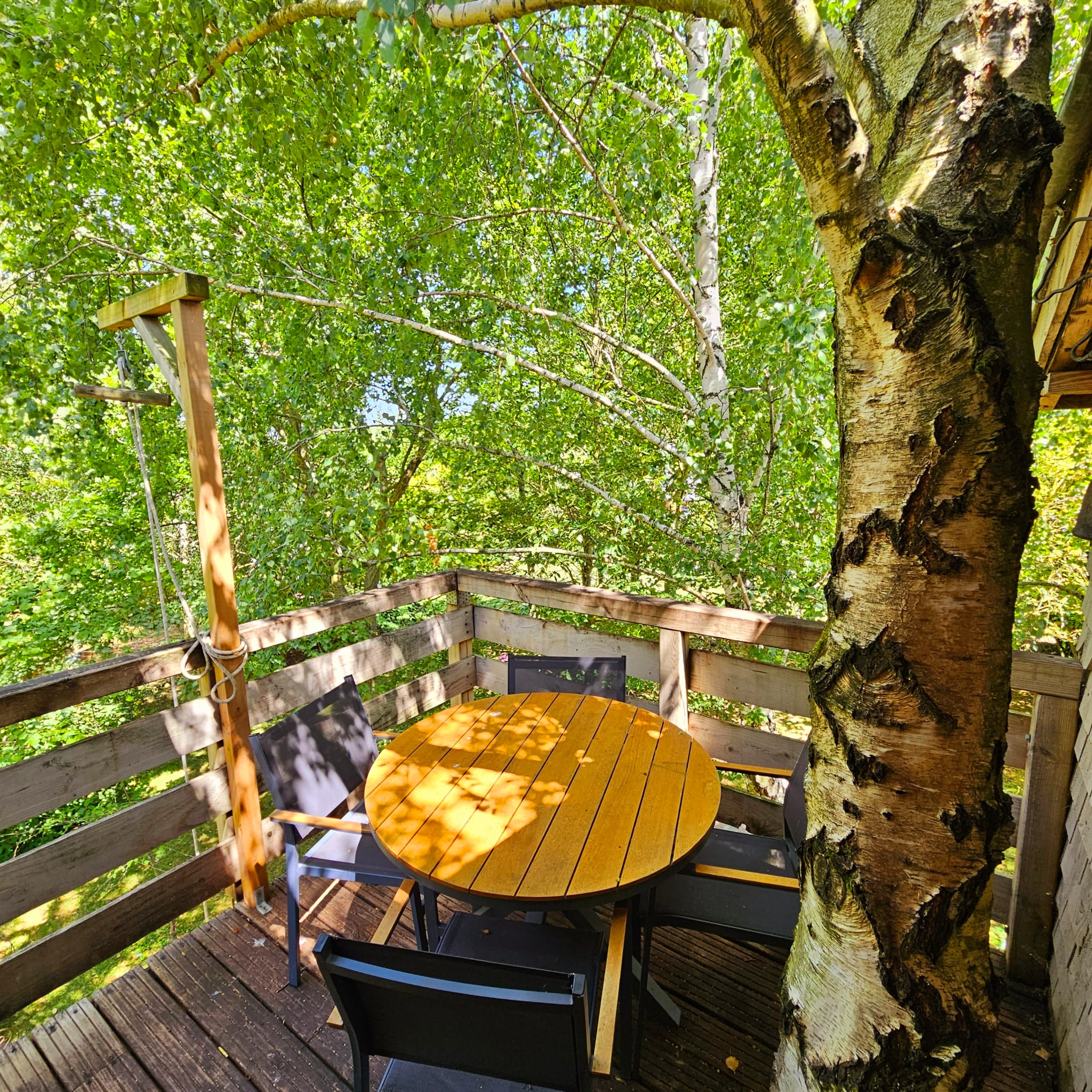 L'Ours Brun : une cabane sur pilotis au cœur de la Picardie à Essuiles — environnement naturel