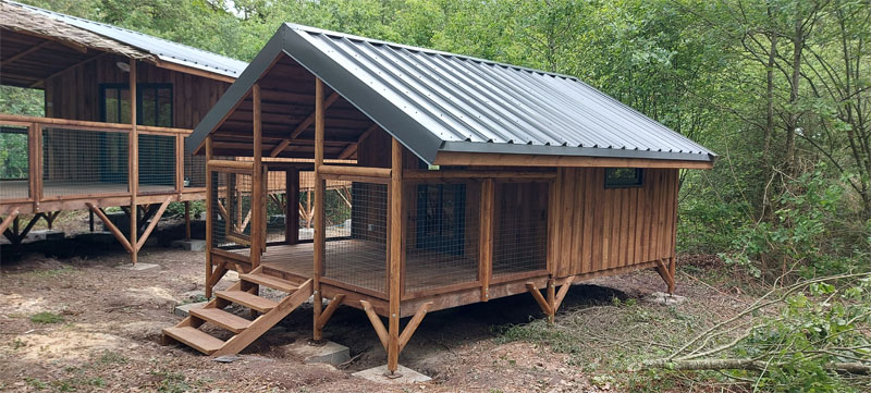 Cabane sur pilotis à Saint Pierre Des Echaubrognes : une expérience immersive