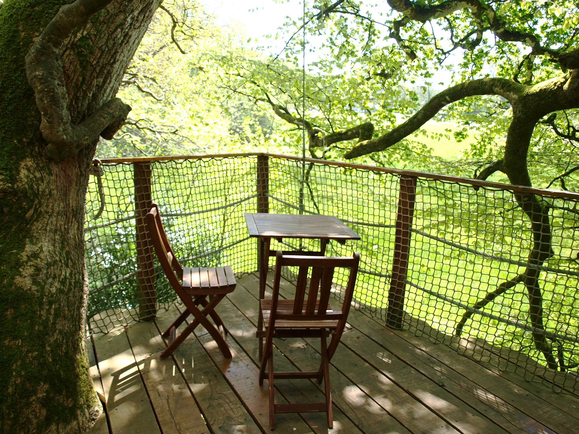 Cabane Jonquille : une évasion perchée en Bretagne à Cléder — chambre