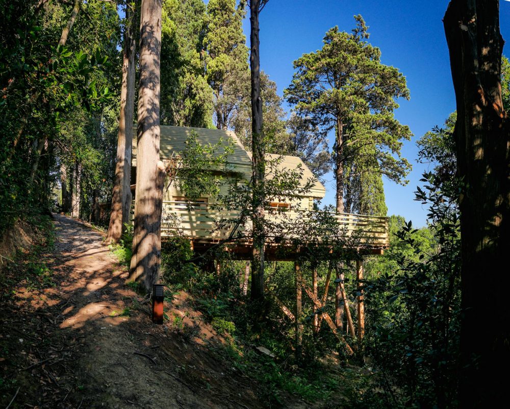 Cabane Cahute : une expérience suspendue en Languedoc-Roussillon