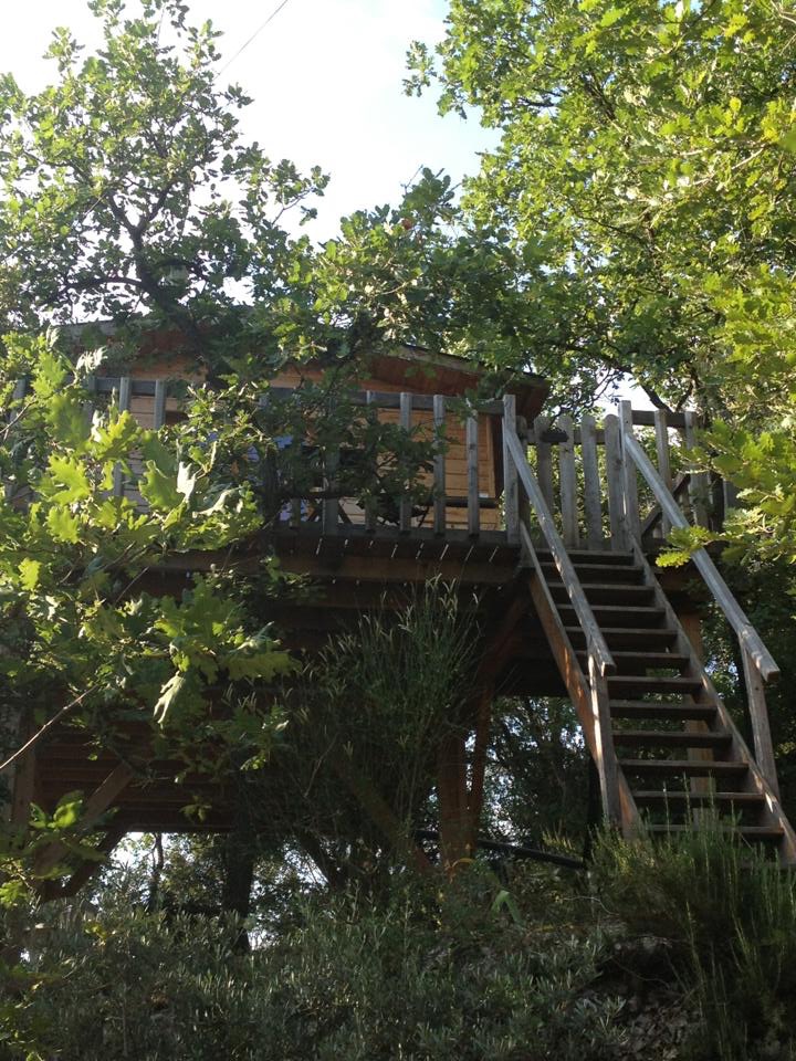 La Cabane des Amoureux : une échappée romantique sur pilotis à Barjols — environnement naturel