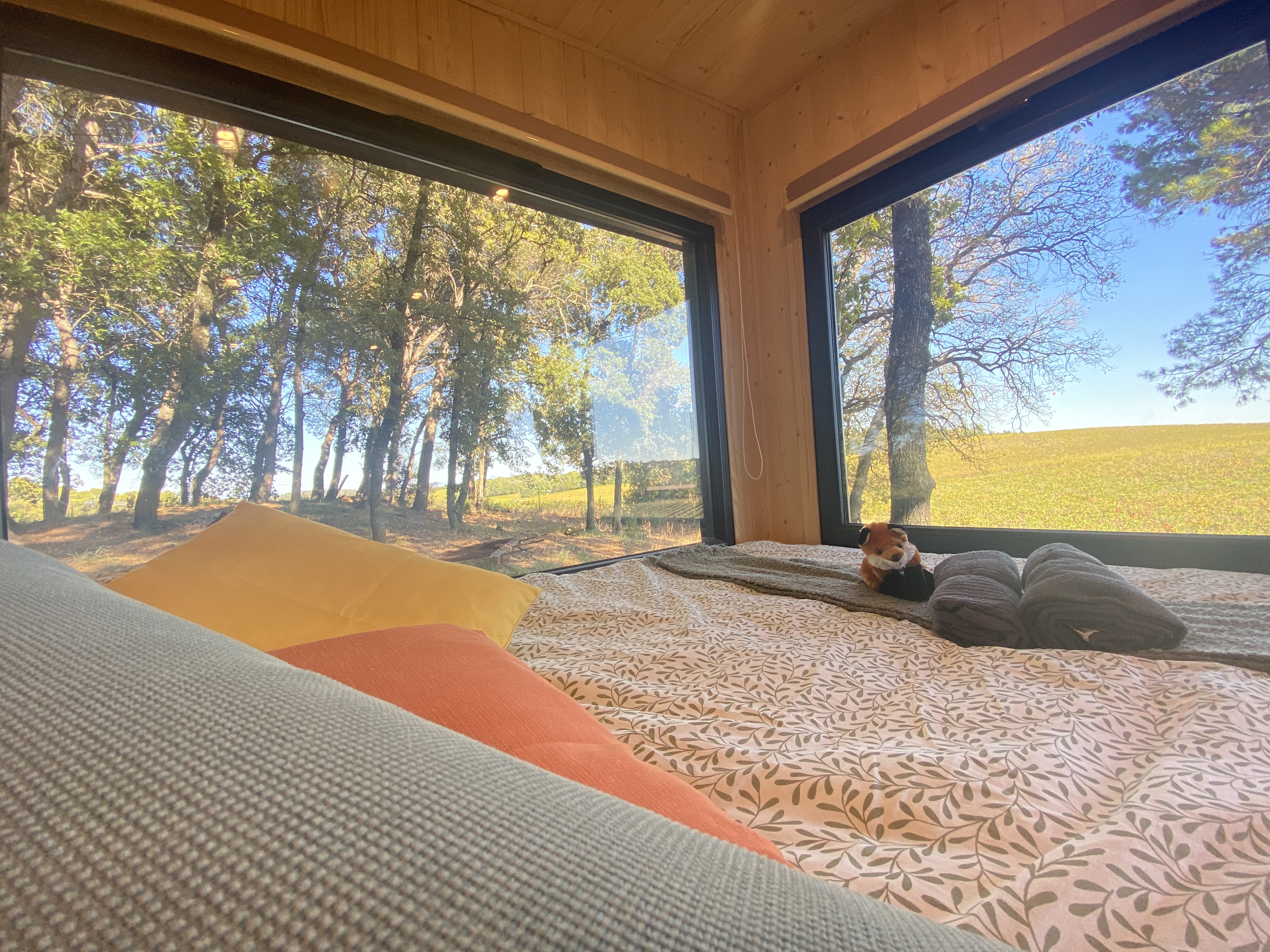La Ruche aux Vins mille Senteurs : une tiny house en Provence à Mondragon — vue intérieure