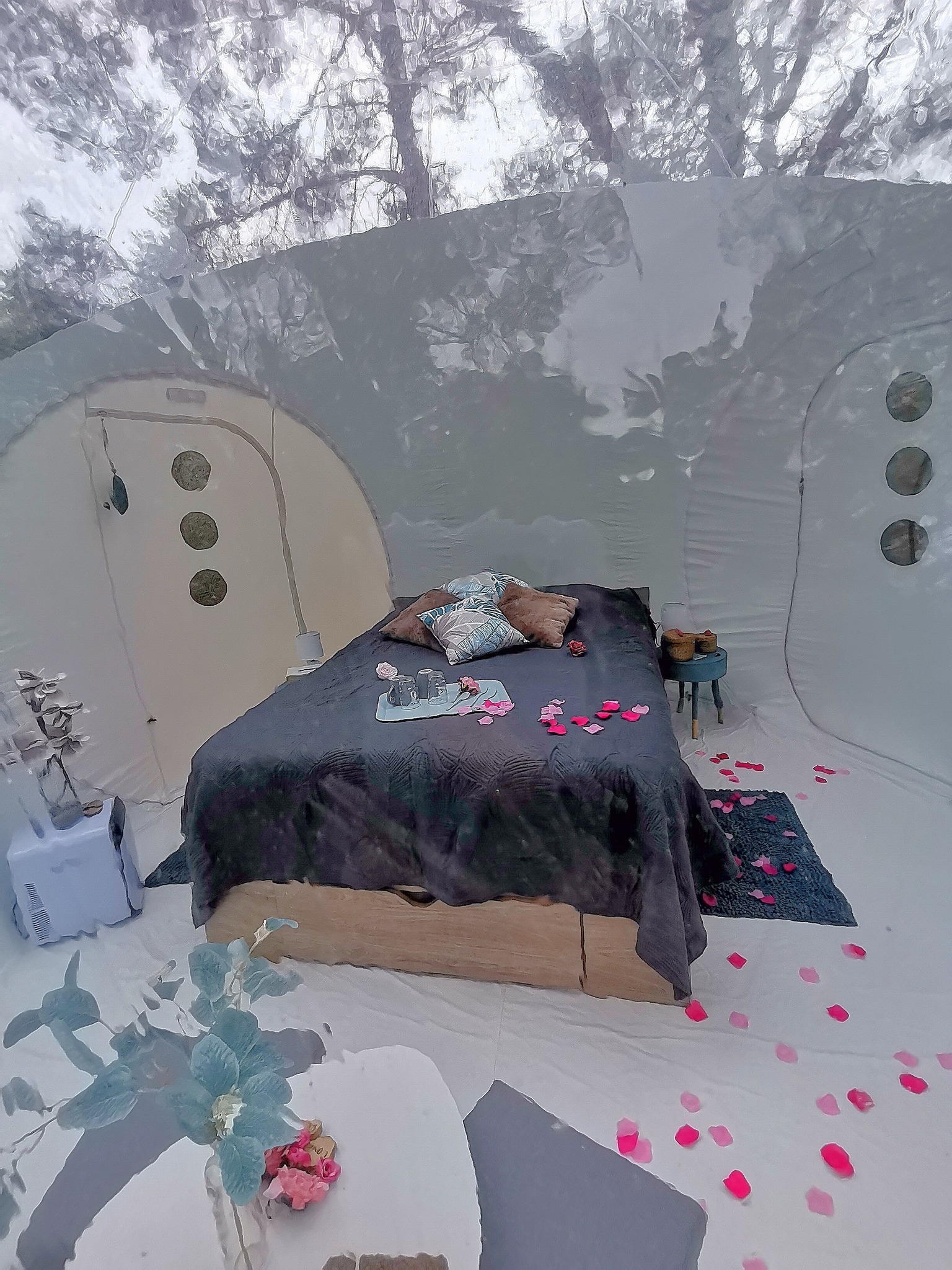 Bubble Dream : une bulle d'évasion en Provence à Beynes — chambre