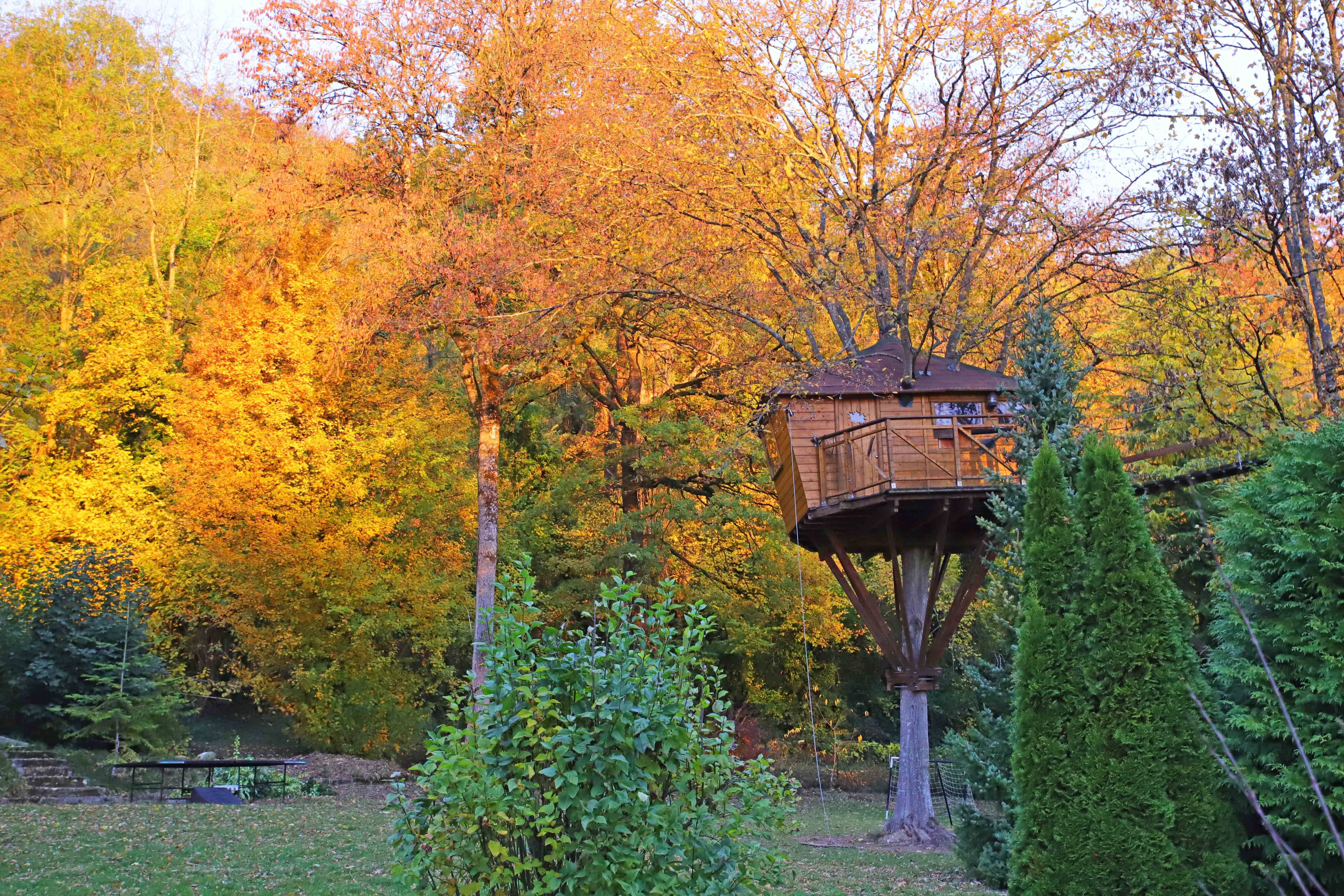 La Cabane du Charme : une expérience suspendue dans les arbres